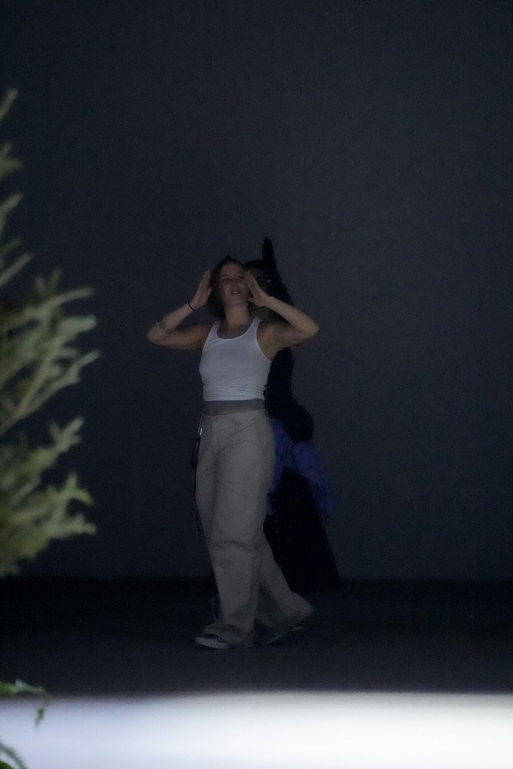 Jane Wade Fall 2026 Fashion Show