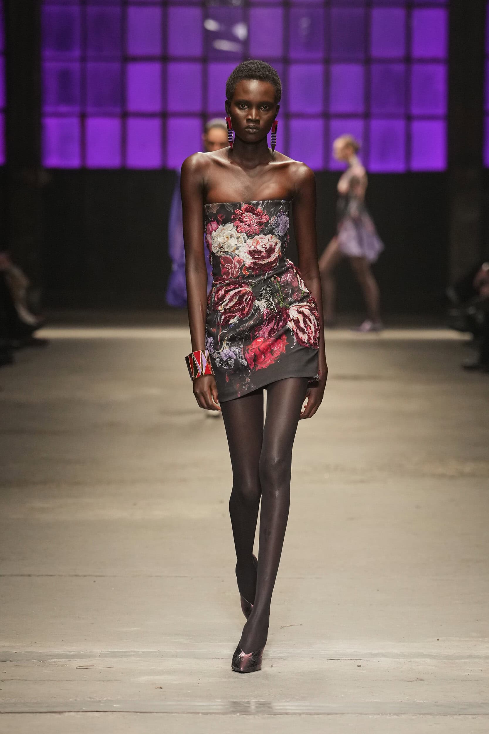 Roberto Cavalli Fall 2026 Fashion Show