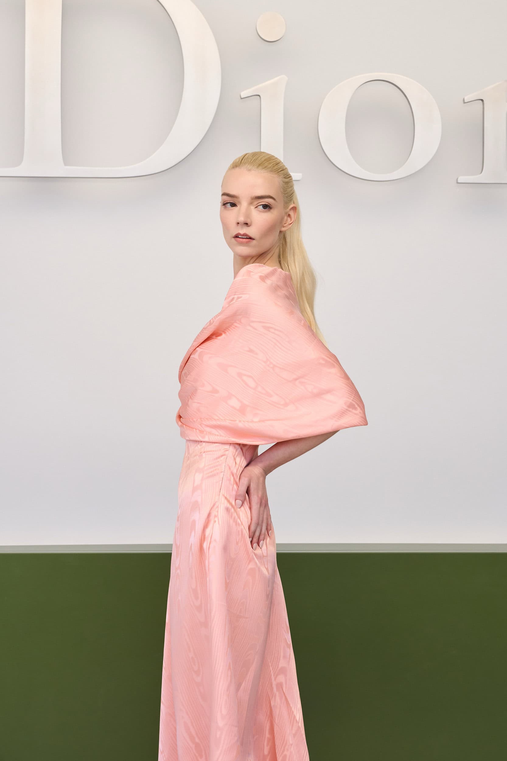 Christian Dior Fall 2026 Fashion Show Front Row