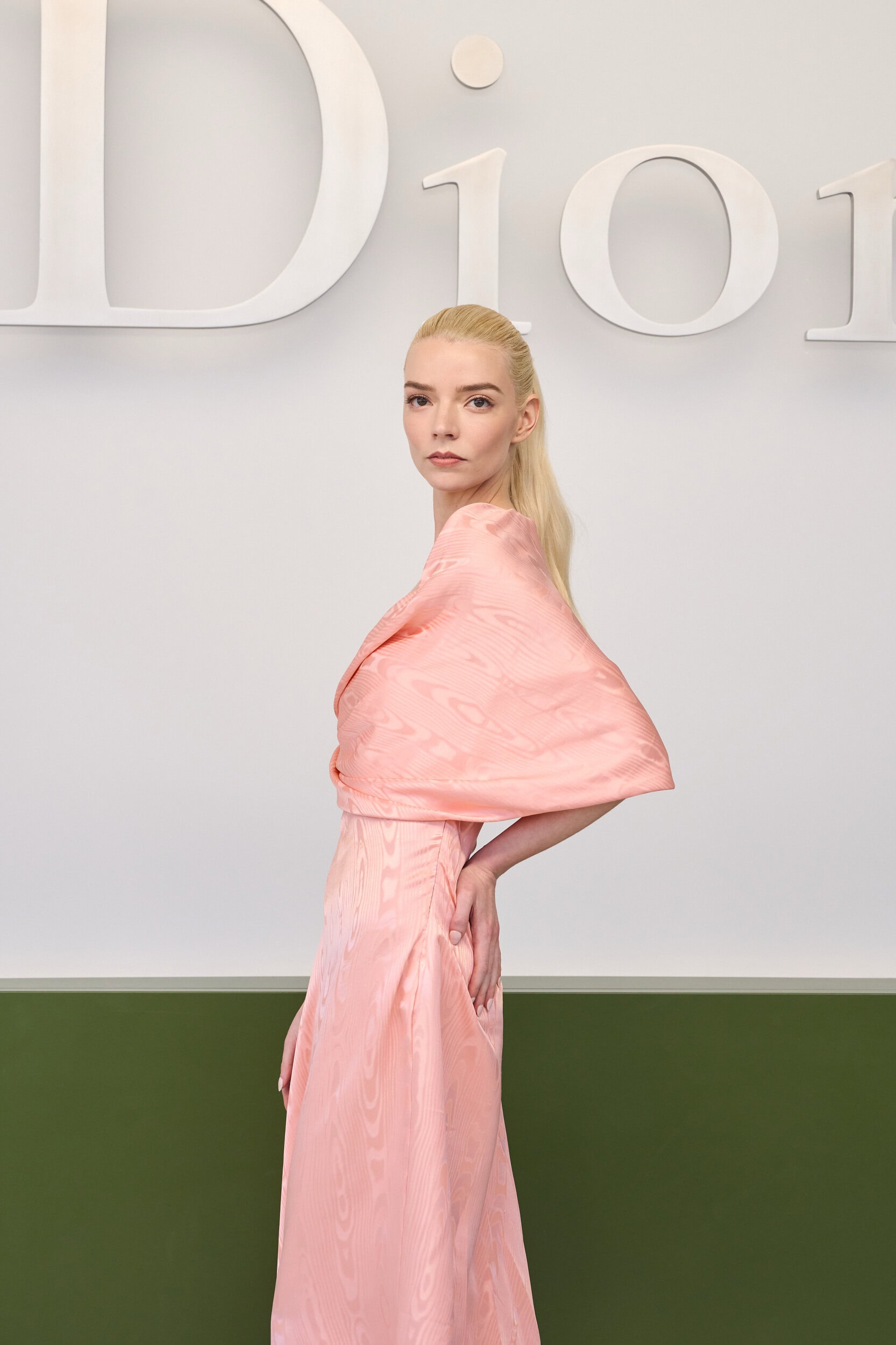 Christian Dior Fall 2026 Fashion Show Front Row