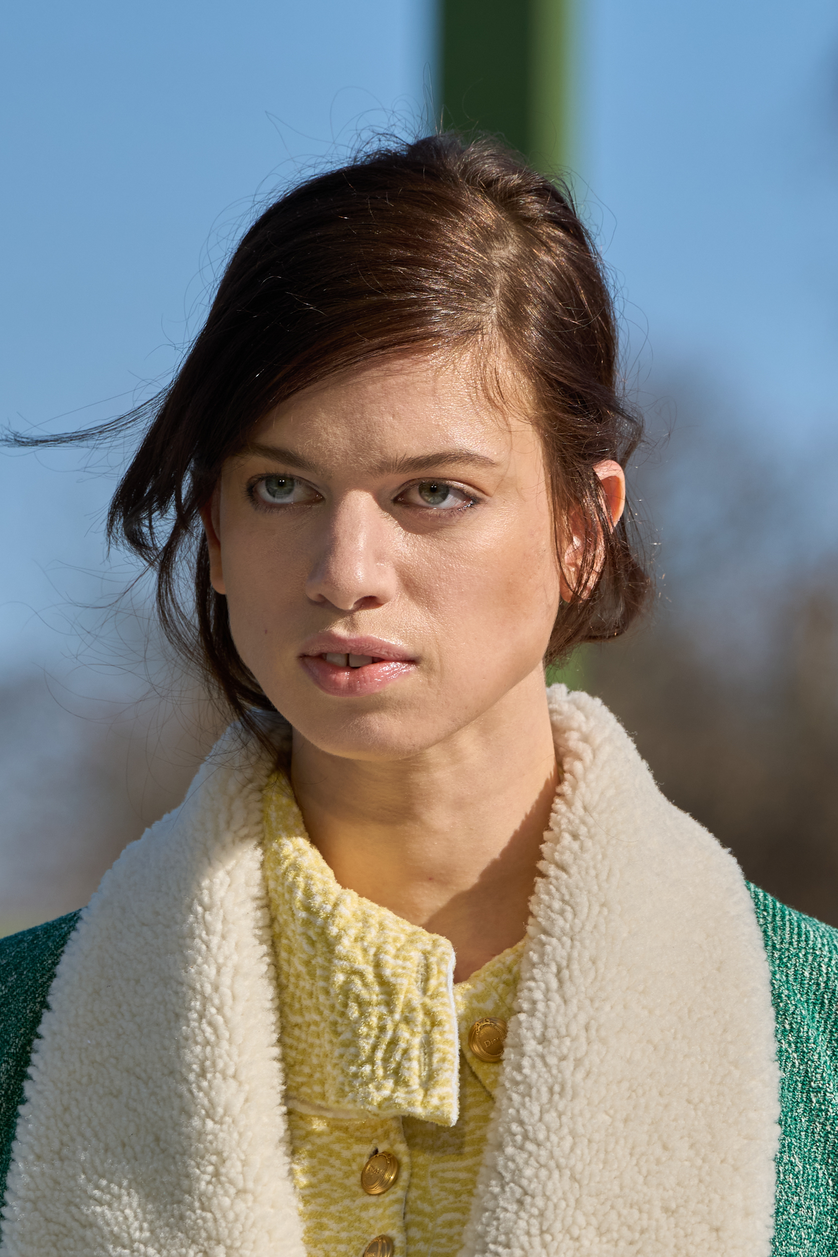 Christian Dior Fall 2026 Fashion Show Details