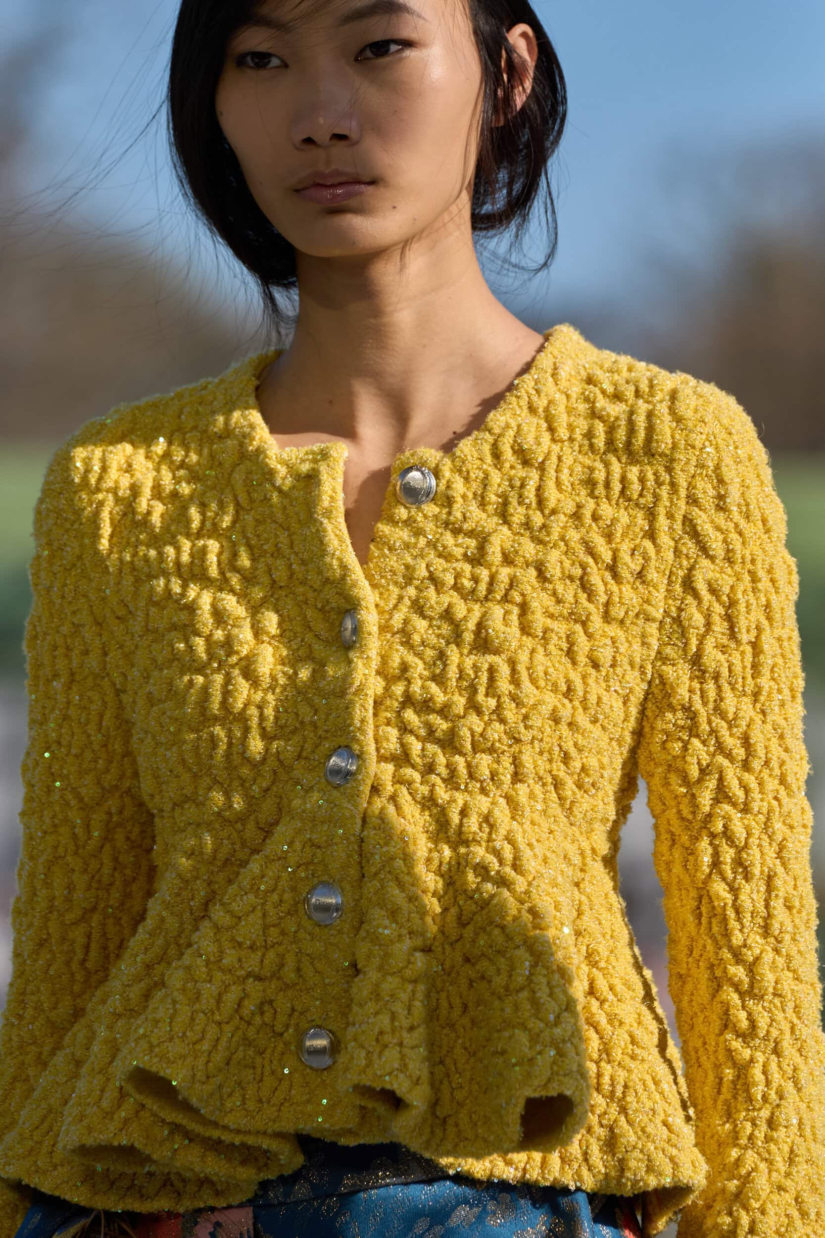 Christian Dior Fall 2026 Fashion Show Details