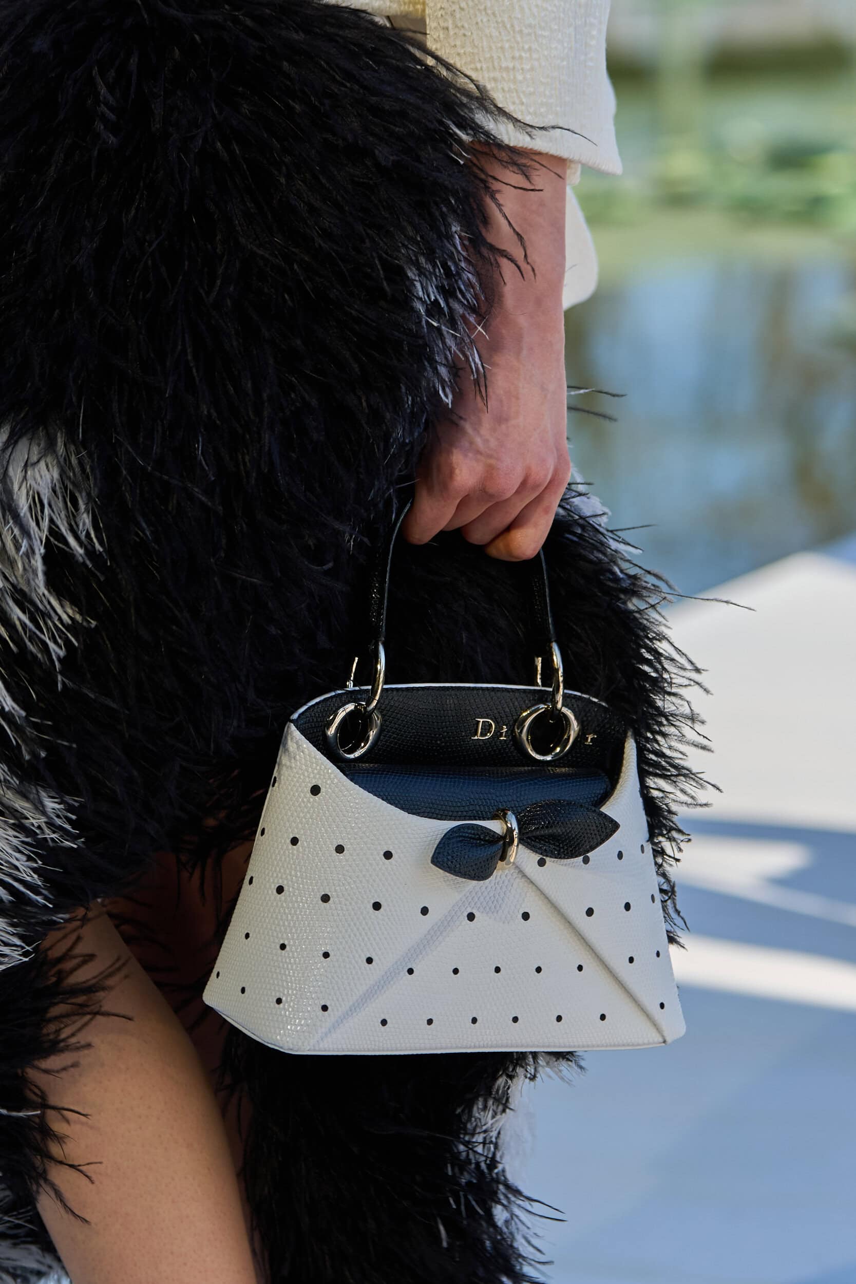 Christian Dior Fall 2026 Fashion Show Details