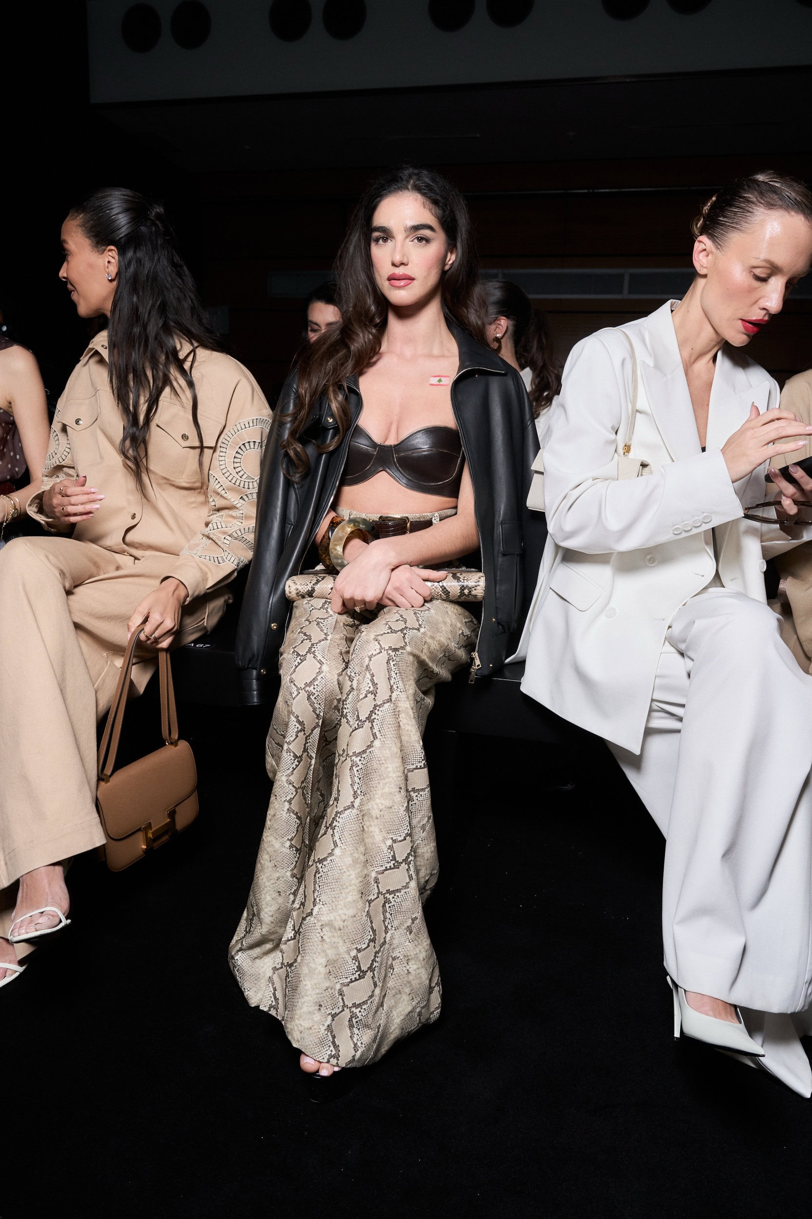 Elie Saab Fall 2026 Fashion Show Front Row