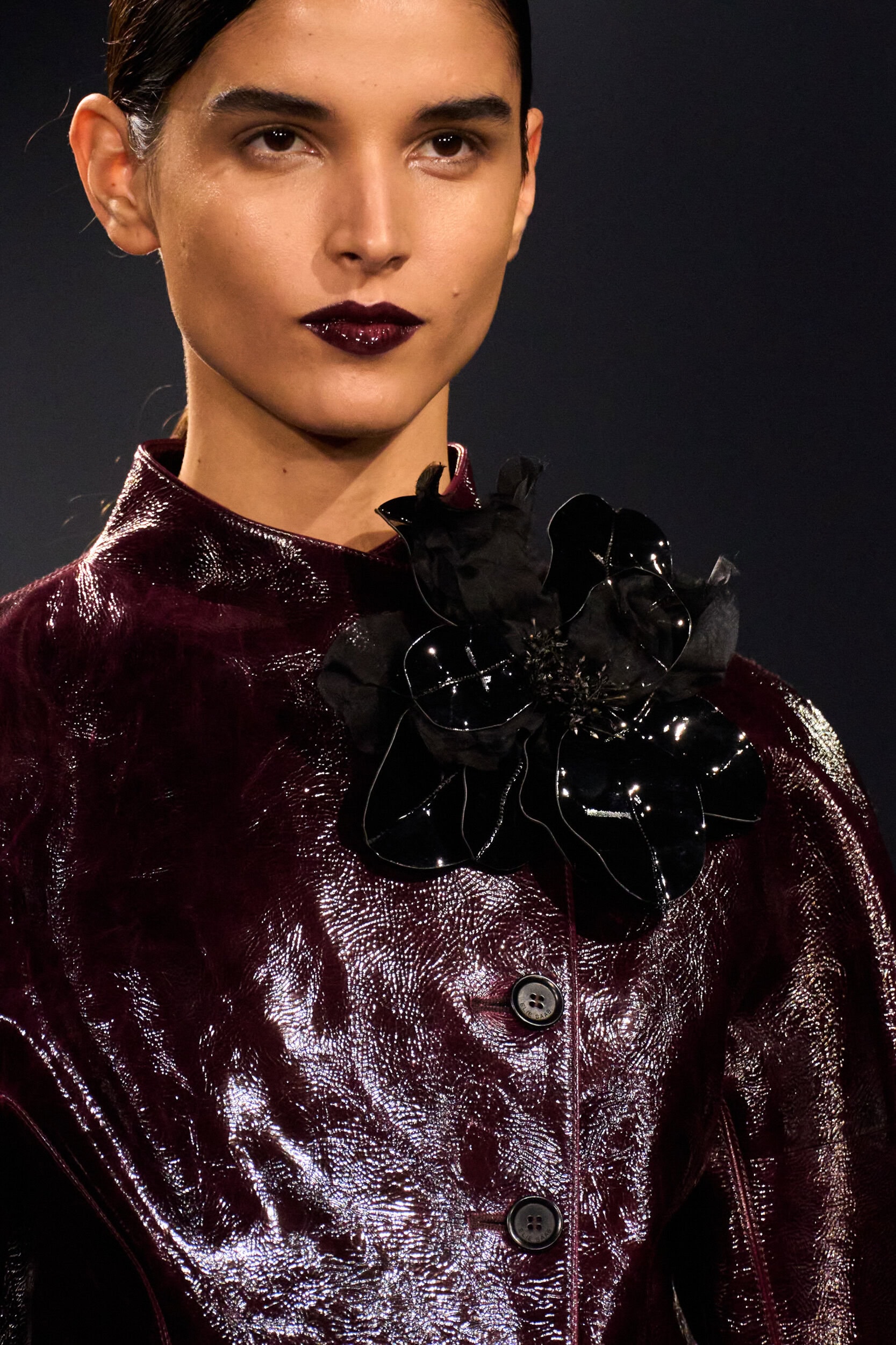 Elie Saab Fall 2026 Fashion Show Details