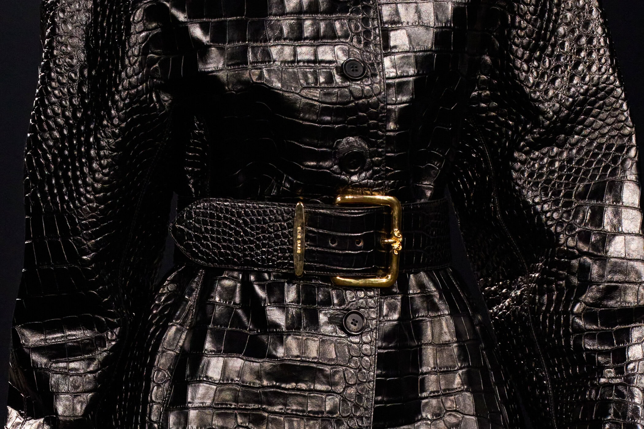 Elie Saab Fall 2026 Fashion Show Details