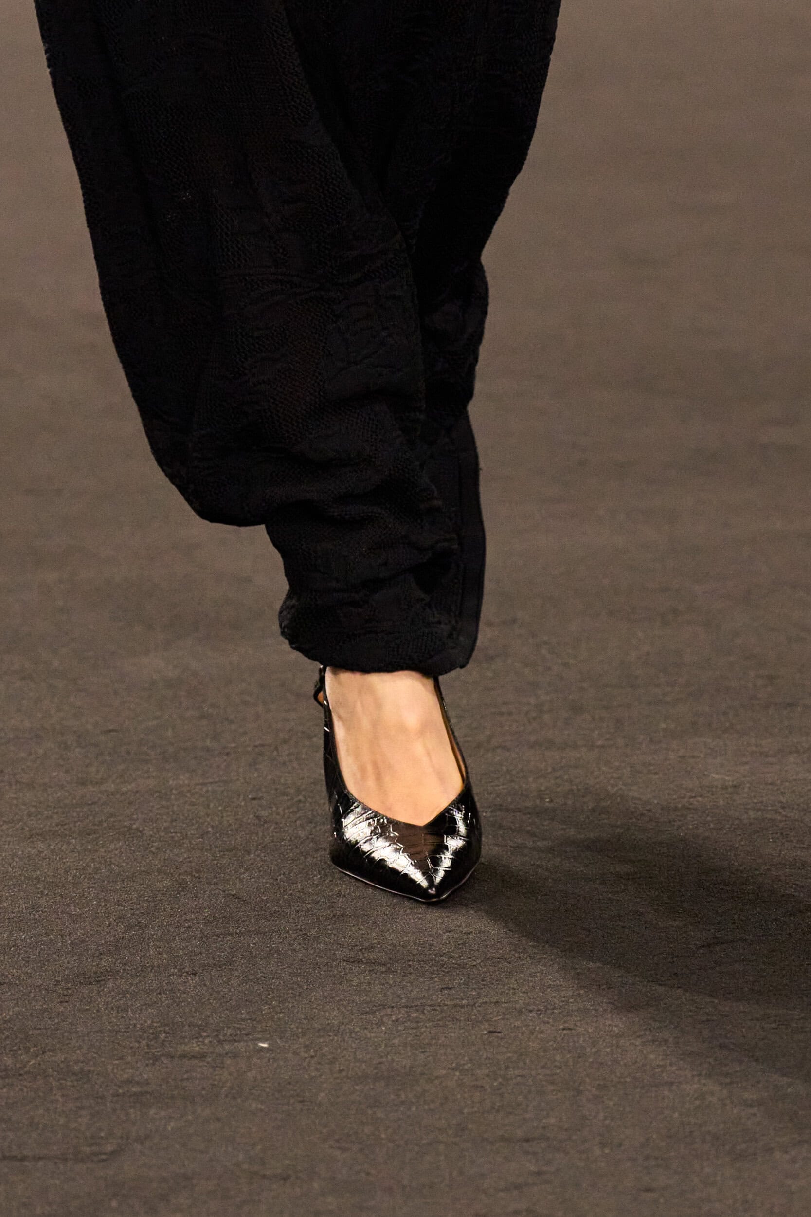 Elie Saab Fall 2026 Fashion Show Details