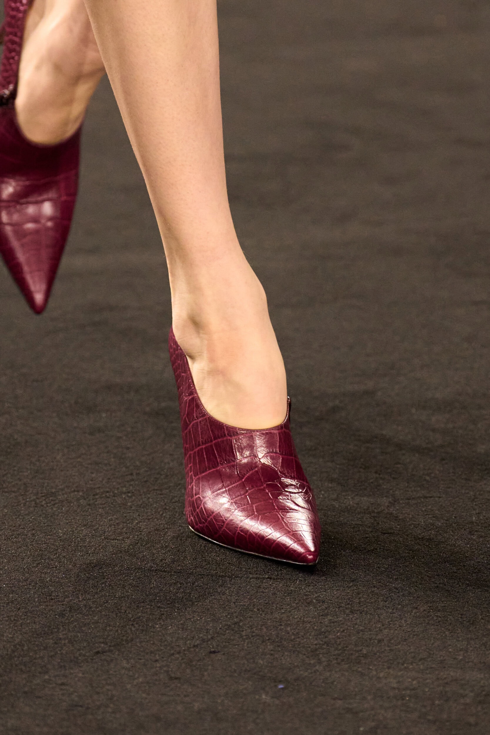 Elie Saab Fall 2026 Fashion Show Details