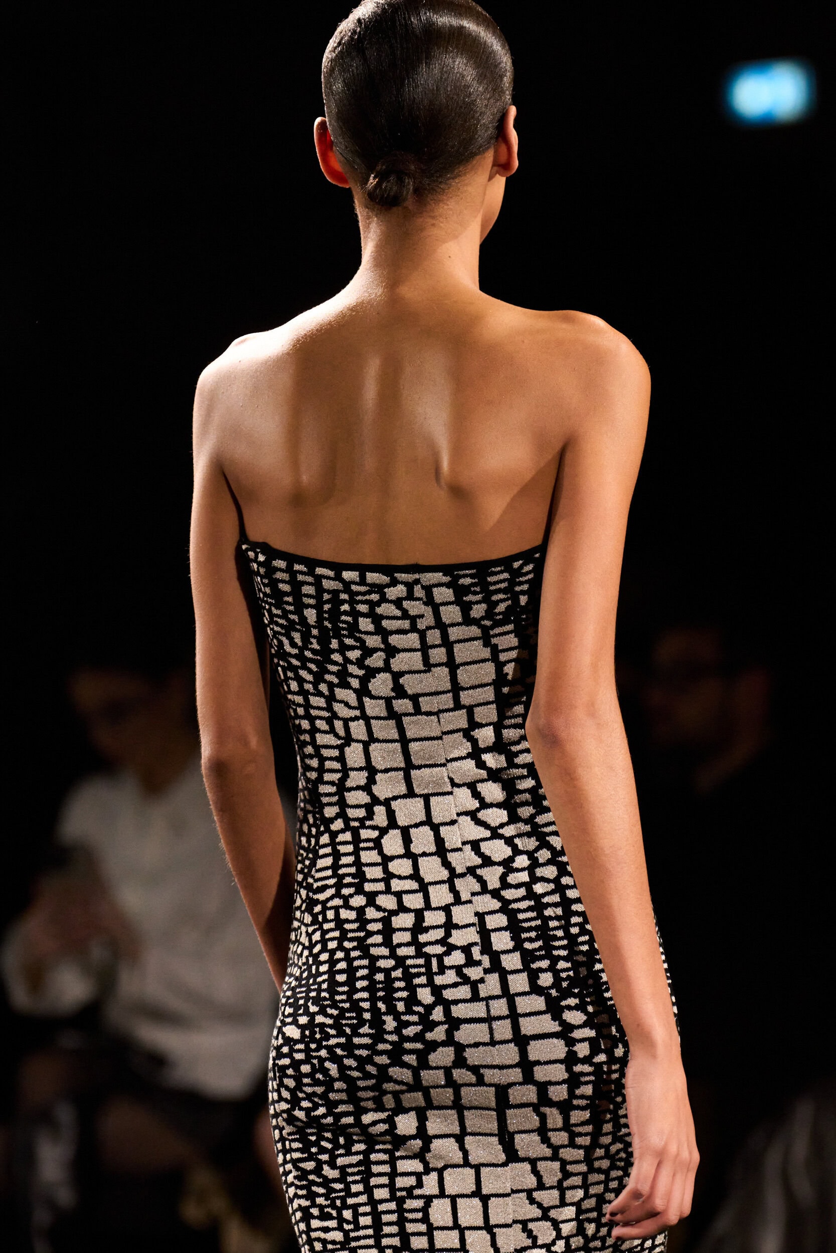 Elie Saab Fall 2026 Fashion Show Details