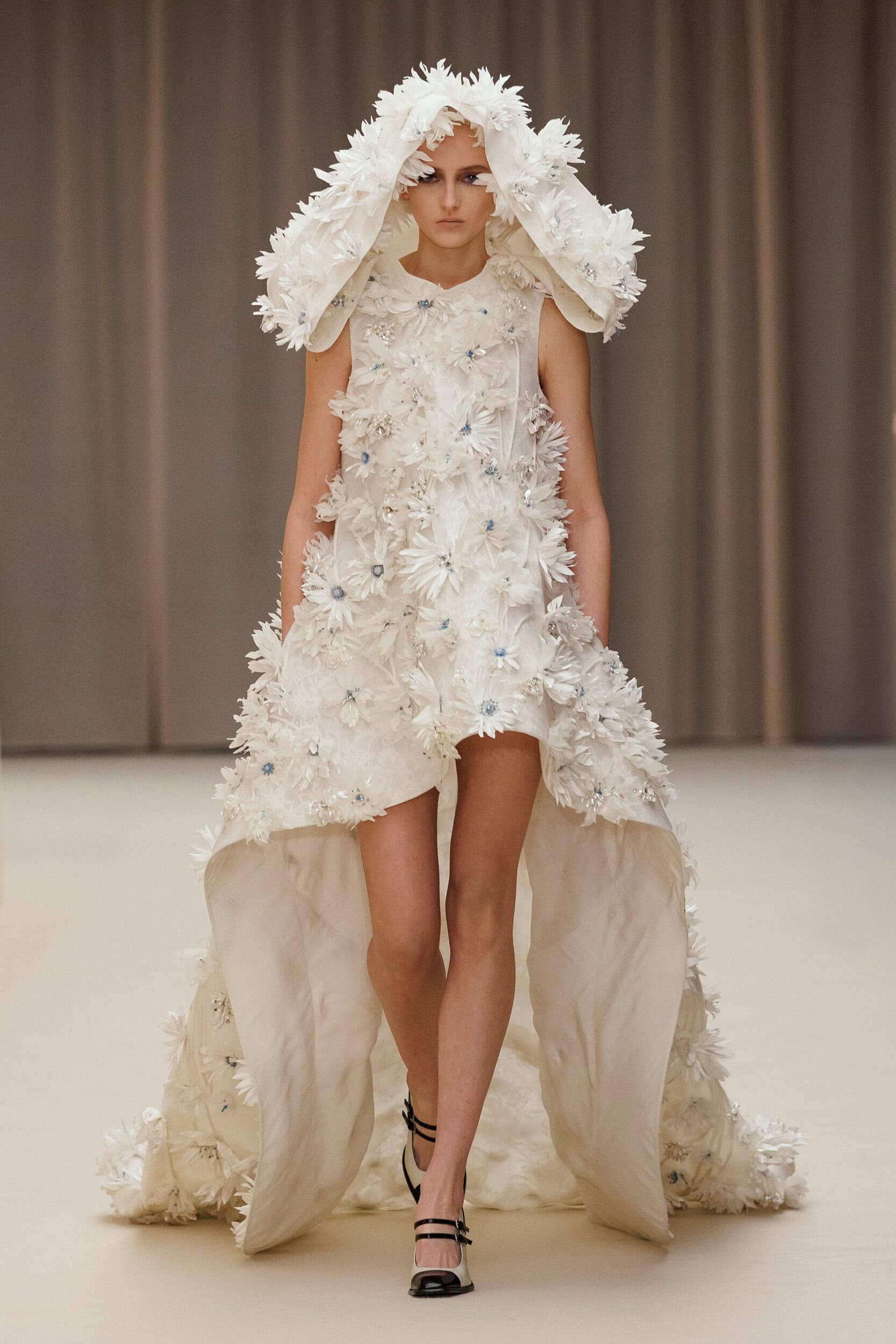 Alexander Mcqueen Fall 2026 Fashion Show