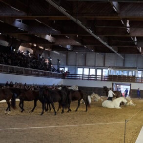Stella Mccartney Fall 2026 Fashion Show Atmosphere