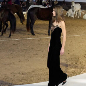 Stella Mccartney Fall 2026 Fashion Show Atmosphere