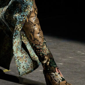 Dries Van Noten Fall 2026 Fashion Show Details