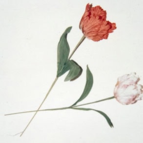 Saint Laurent Rive Droite Presents Andy Warhol’s “Banal Objects” Exhibition in Paris