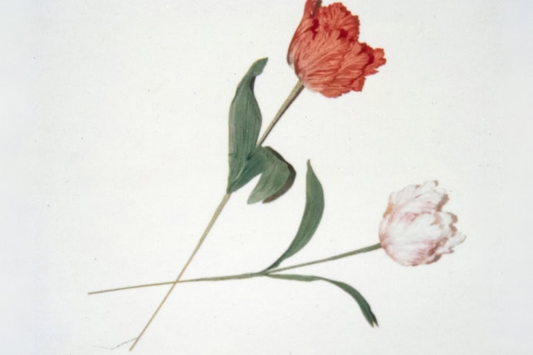 Saint Laurent Rive Droite Presents Andy Warhol’s “Banal Objects” Exhibition in Paris