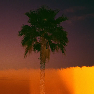 Palm Angels Reopens Dubai Mall Store With CHNDY Photography Project