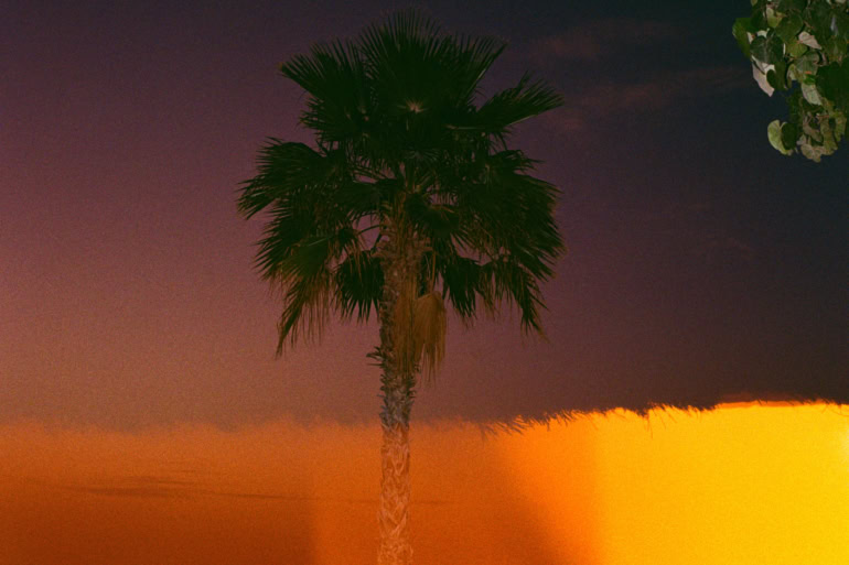 Palm Angels Reopens Dubai Mall Store With CHNDY Photography Project