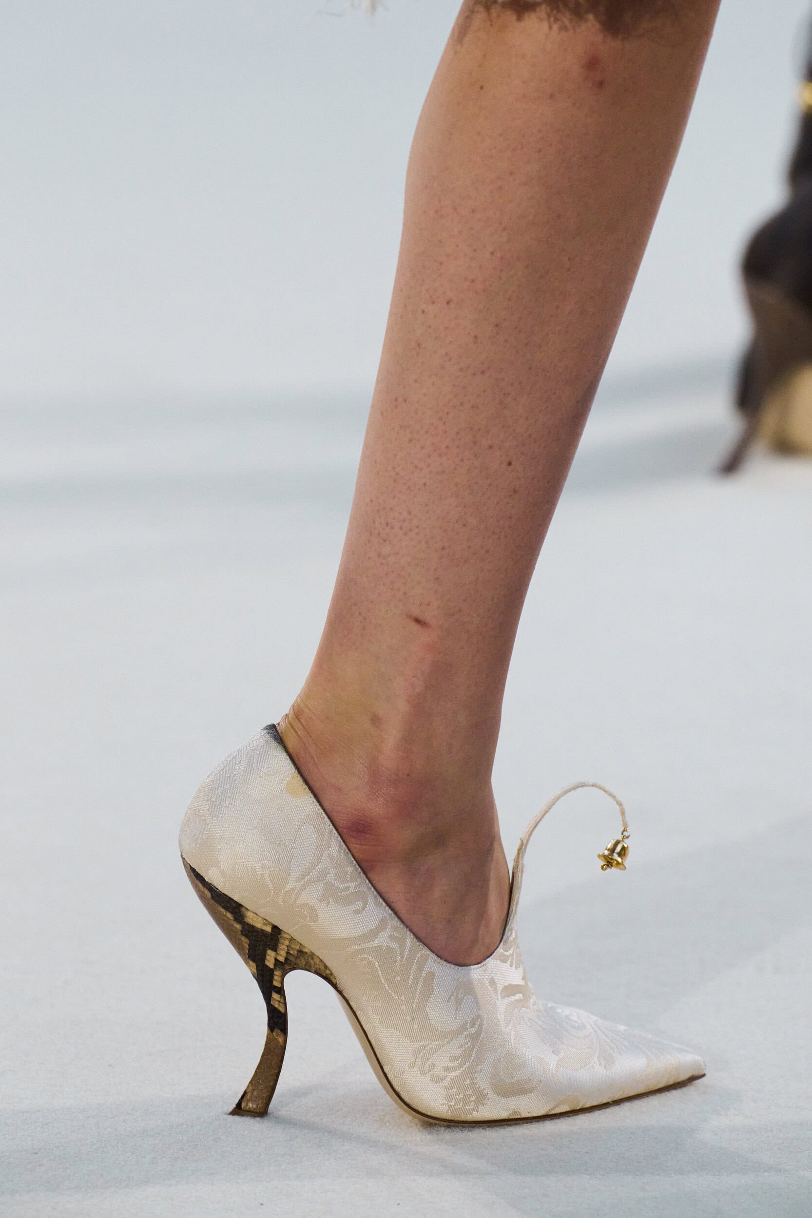 Ashi Studio Fall 2026 Couture Fashion Show Details