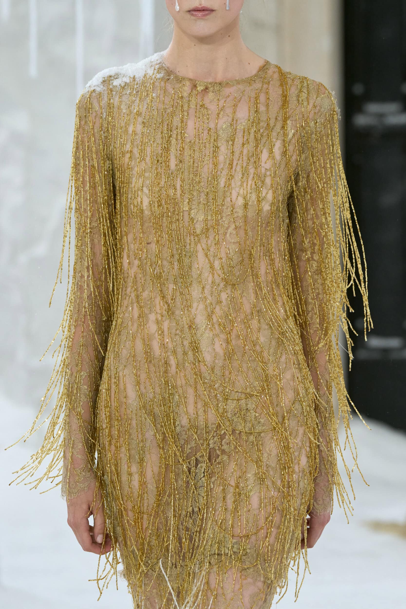 Celia Kritharioti Fall 2026 Couture Fashion Show Details