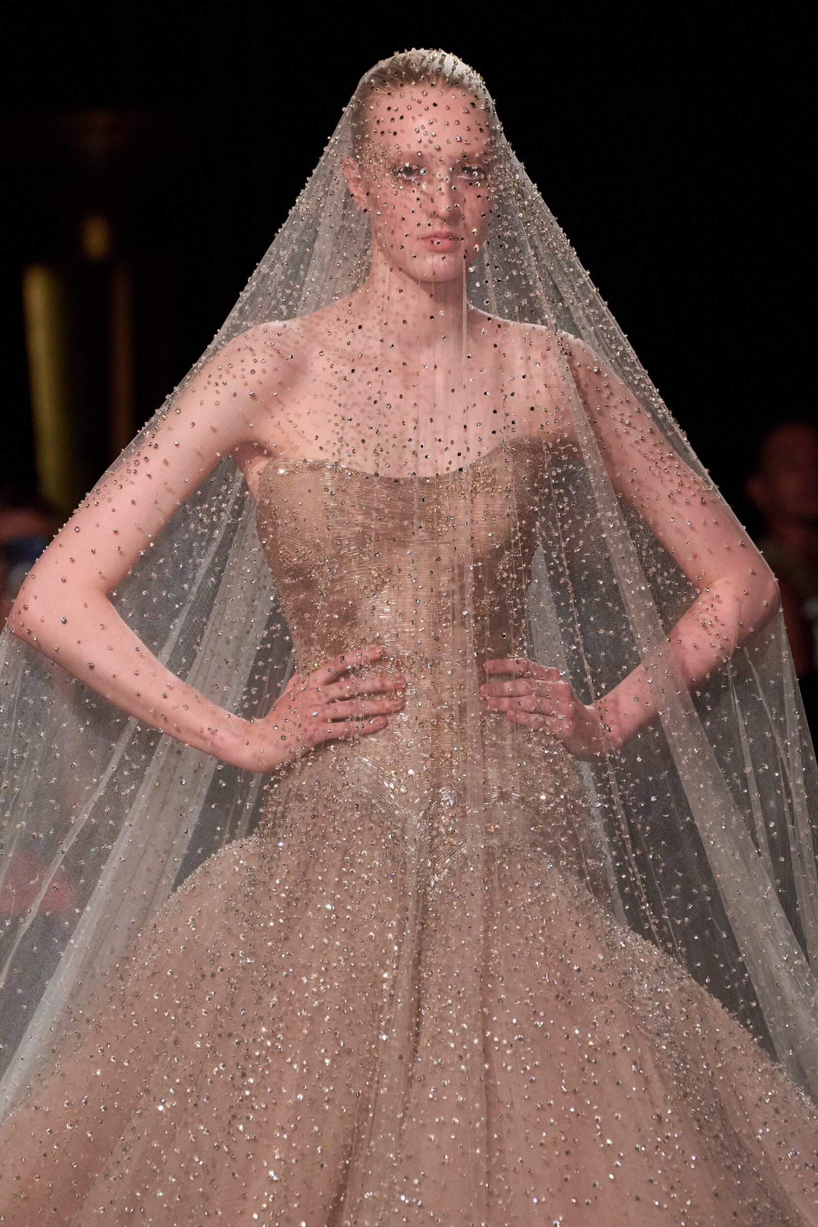 Elie Saab Fall 2026 Couture Fashion Show Details