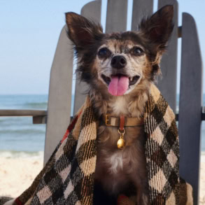 Burberry Celebrates Summer With a Hamptons Pop-Up
