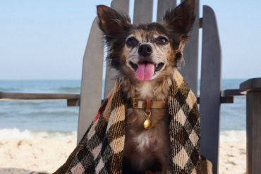 Burberry Celebrates Summer With a Hamptons Pop-Up