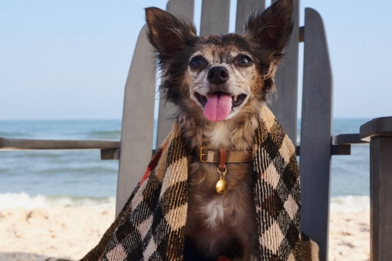 Burberry Celebrates Summer With a Hamptons Pop-Up