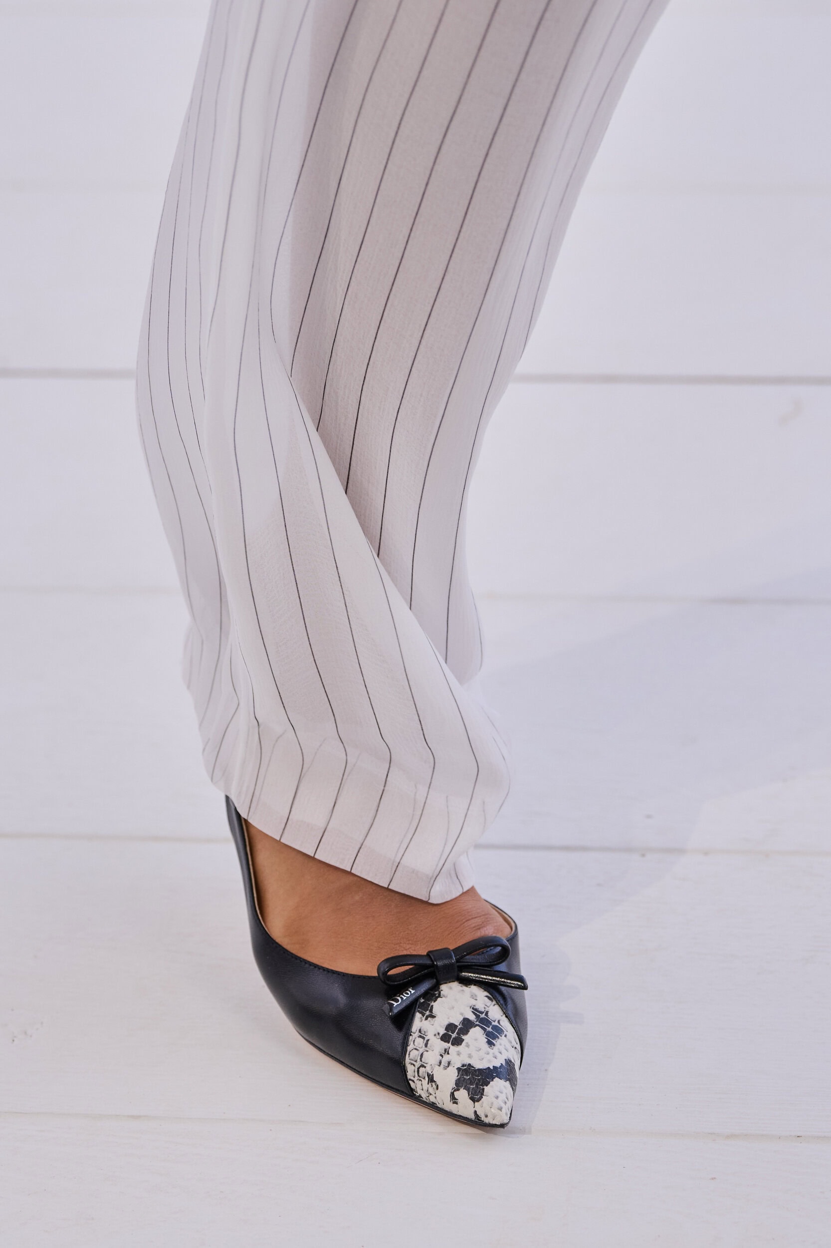 Christian Dior Spring 2027 Fashion Show Details