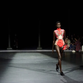 Erdem Spring 2027 Fashion Show Atmosphere