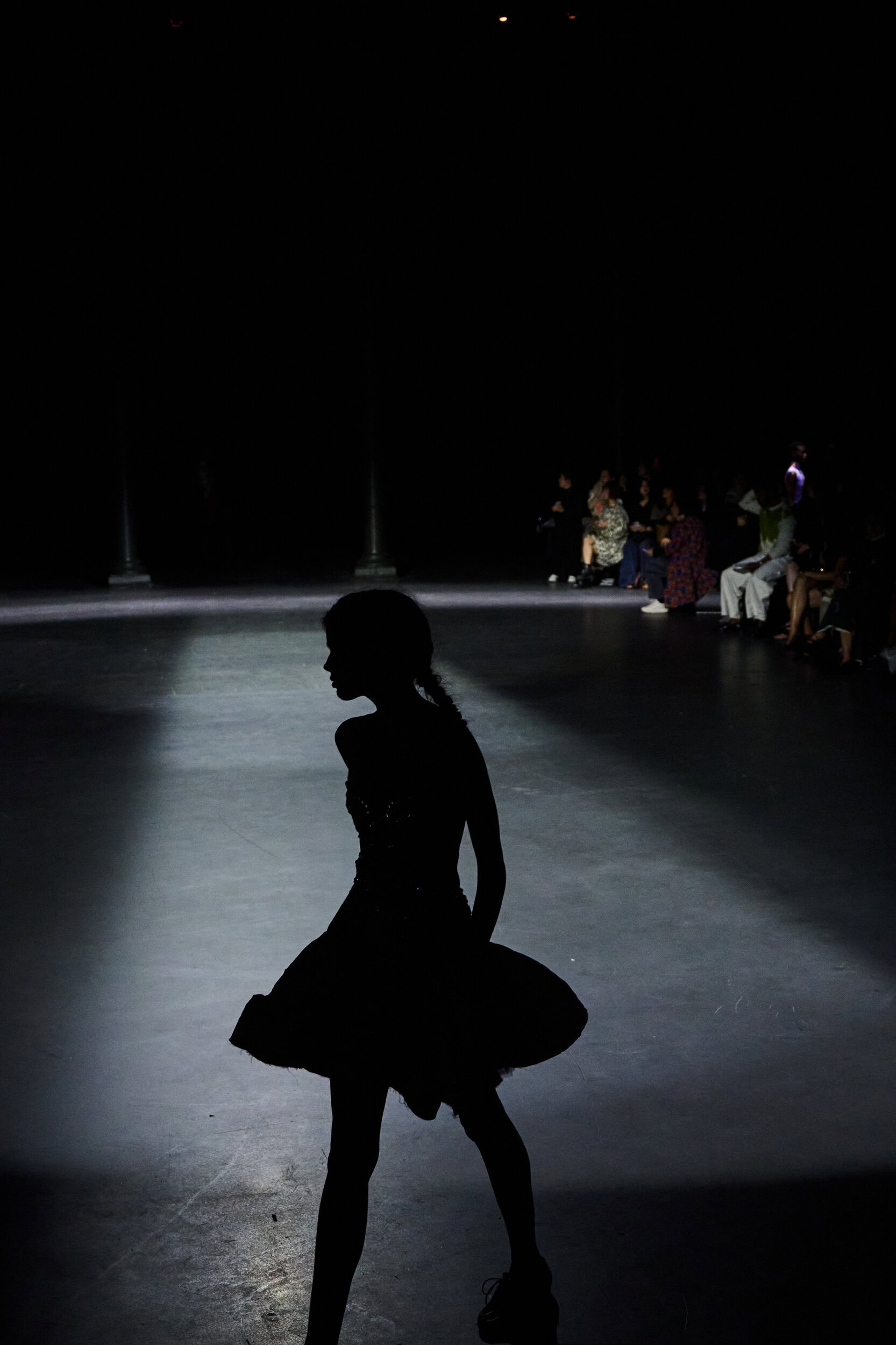 Erdem Spring 2027 Fashion Show Atmosphere