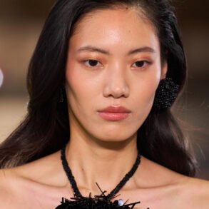 Carolina Herrera Spring 2027 Fashion Show Details