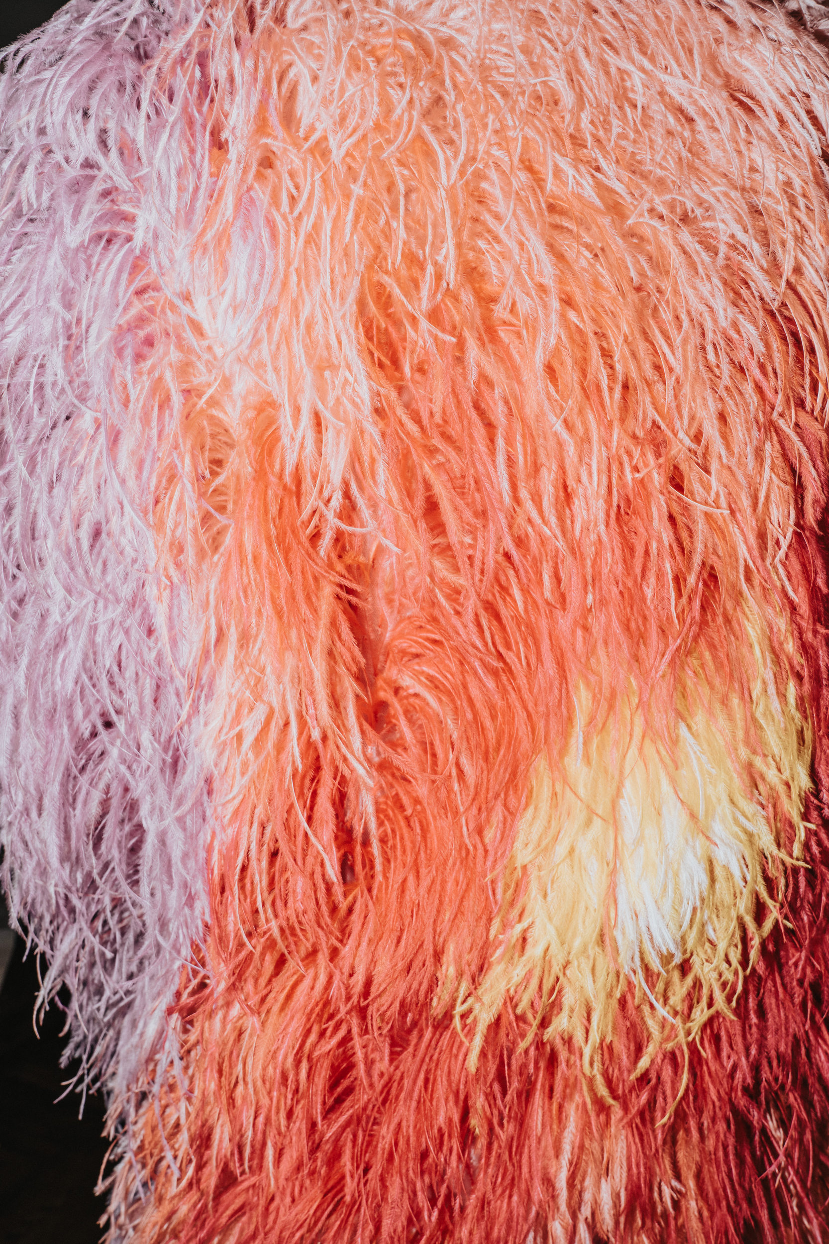 Libertine Spring 2027 Fashion Show Backstage