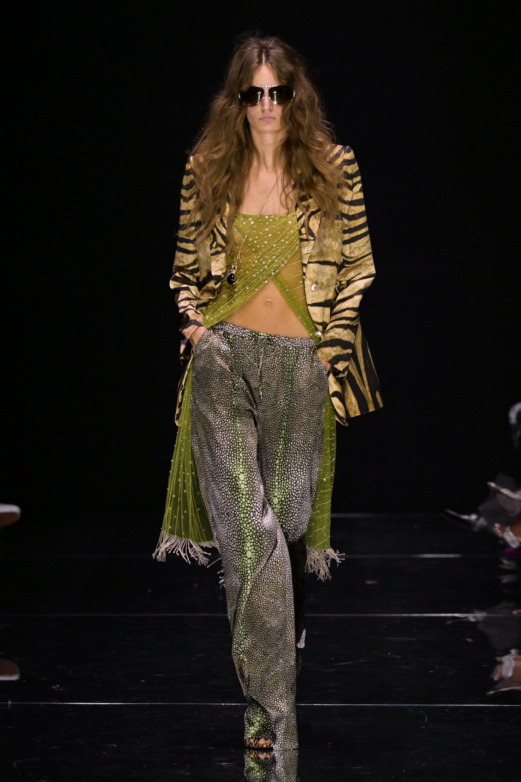 Roberto Cavalli Spring 2027 Fashion Show