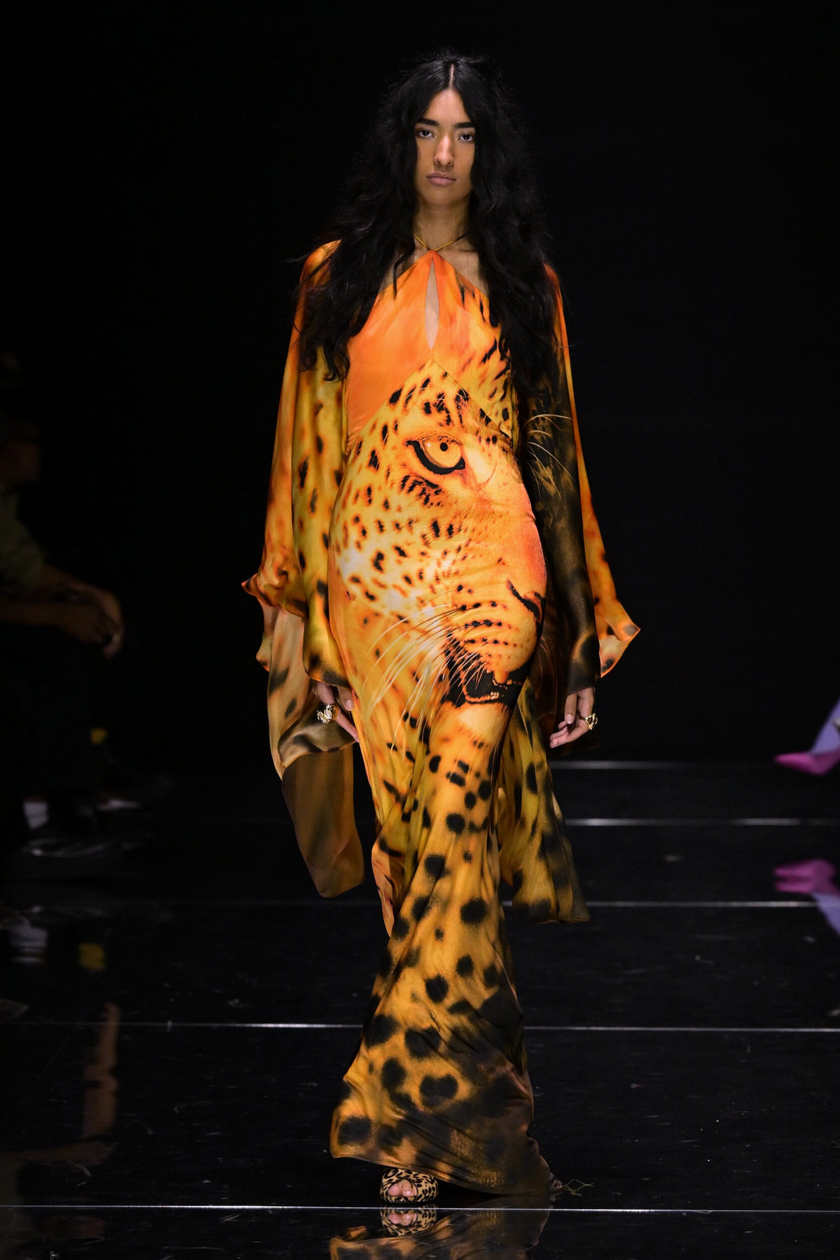 Roberto Cavalli Spring 2027 Fashion Show