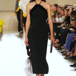 Carolina Herrera Spring 2027 Fashion Show