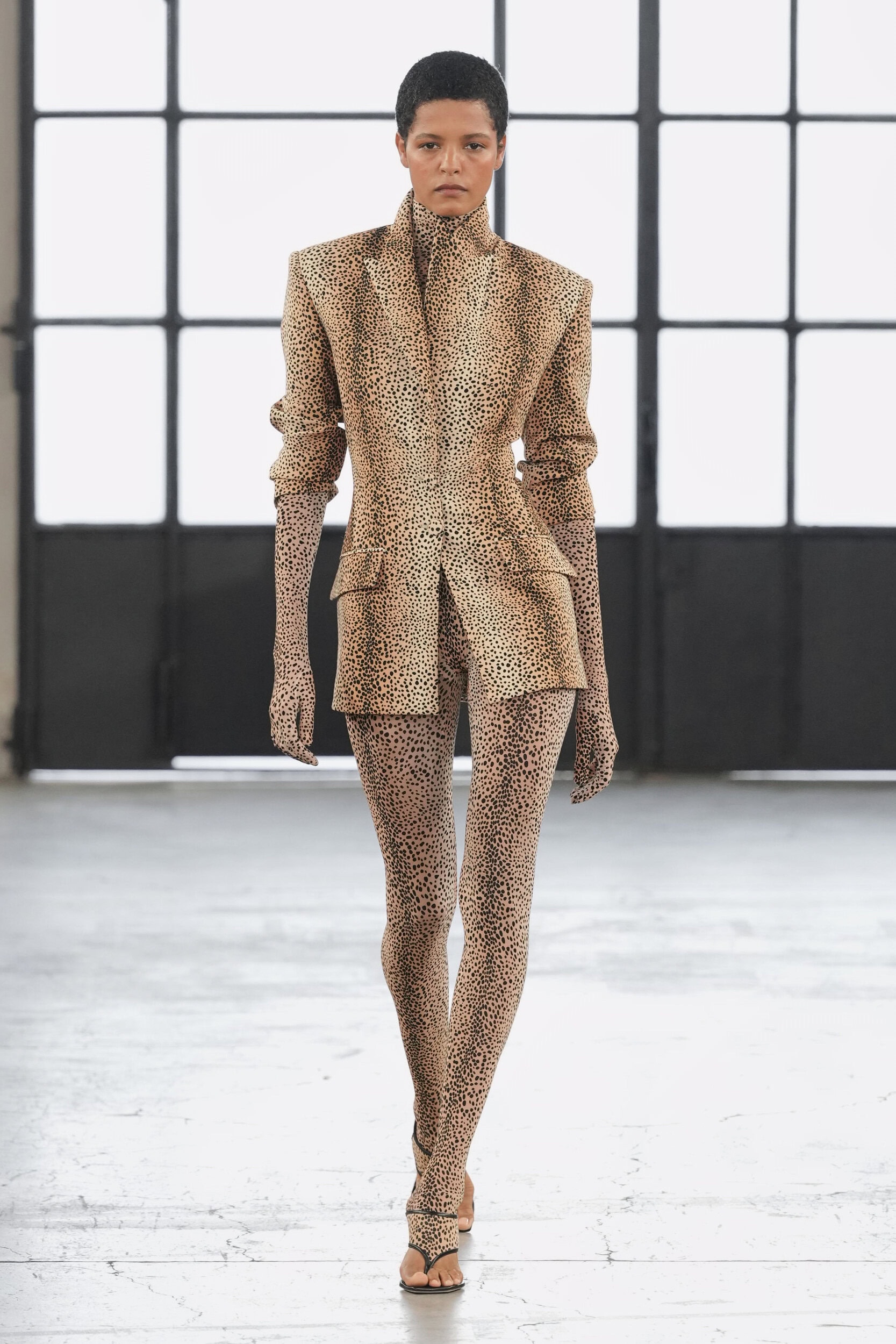 Elisabetta Franchi Spring 2027 Fashion Show