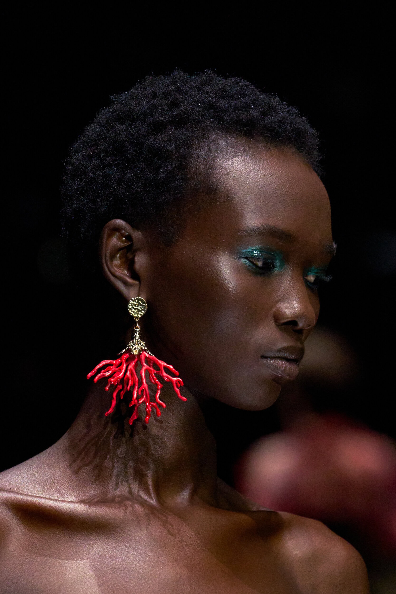 Roberto Cavalli Spring 2027 Fashion Show Details
