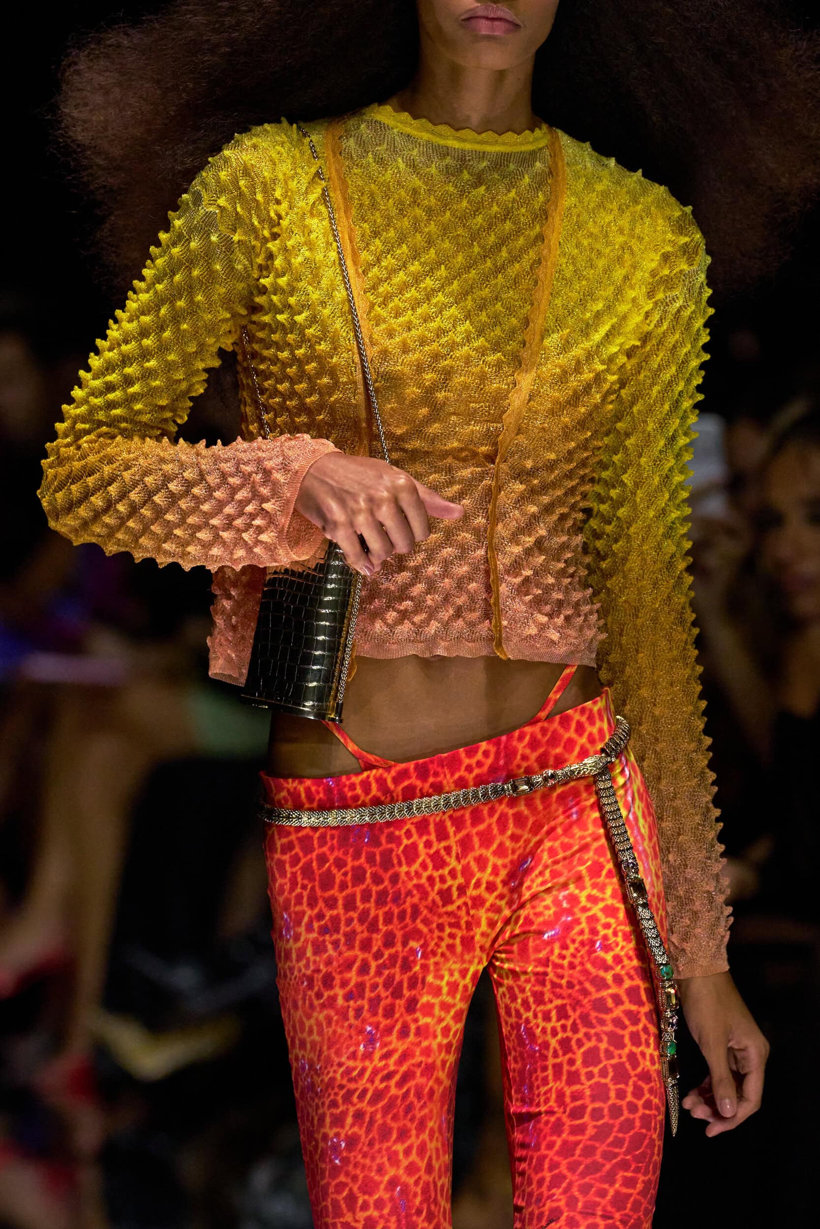 Roberto Cavalli Spring 2027 Fashion Show Details