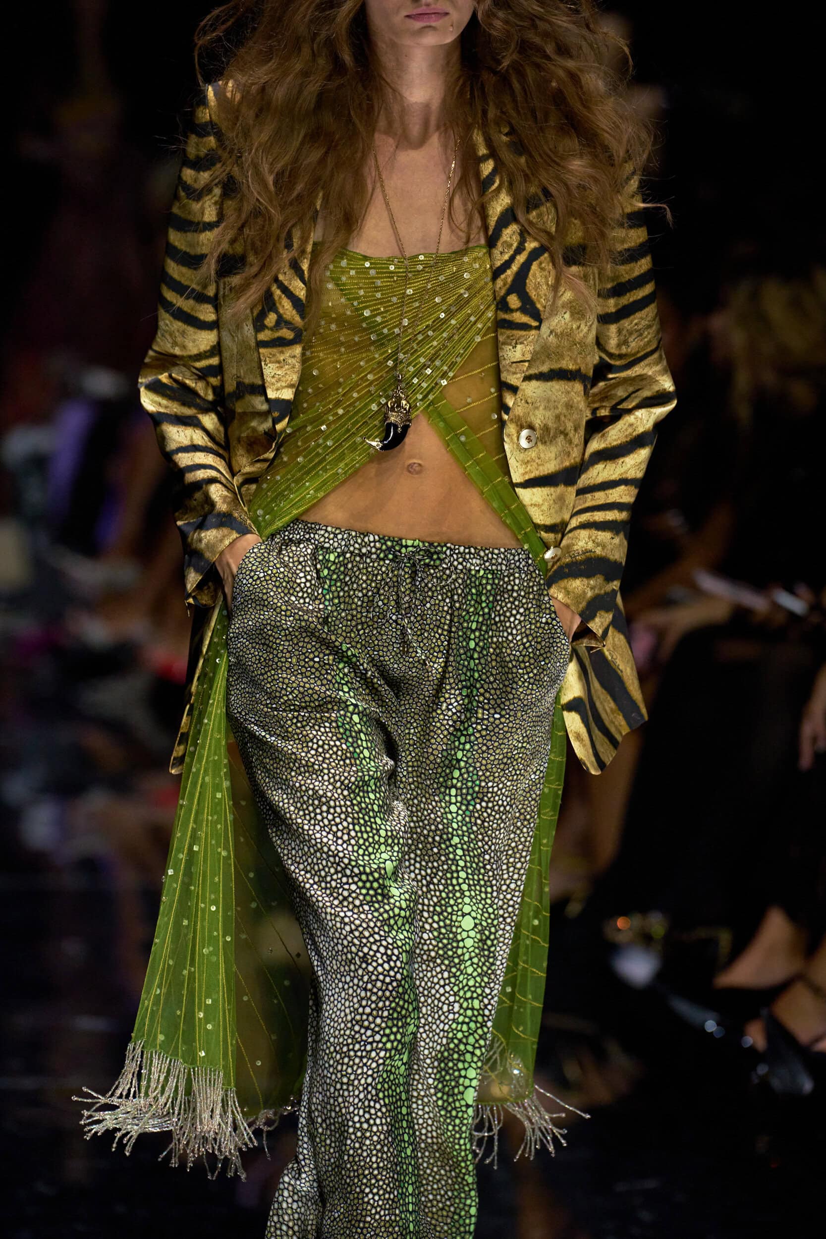Roberto Cavalli Spring 2027 Fashion Show Details