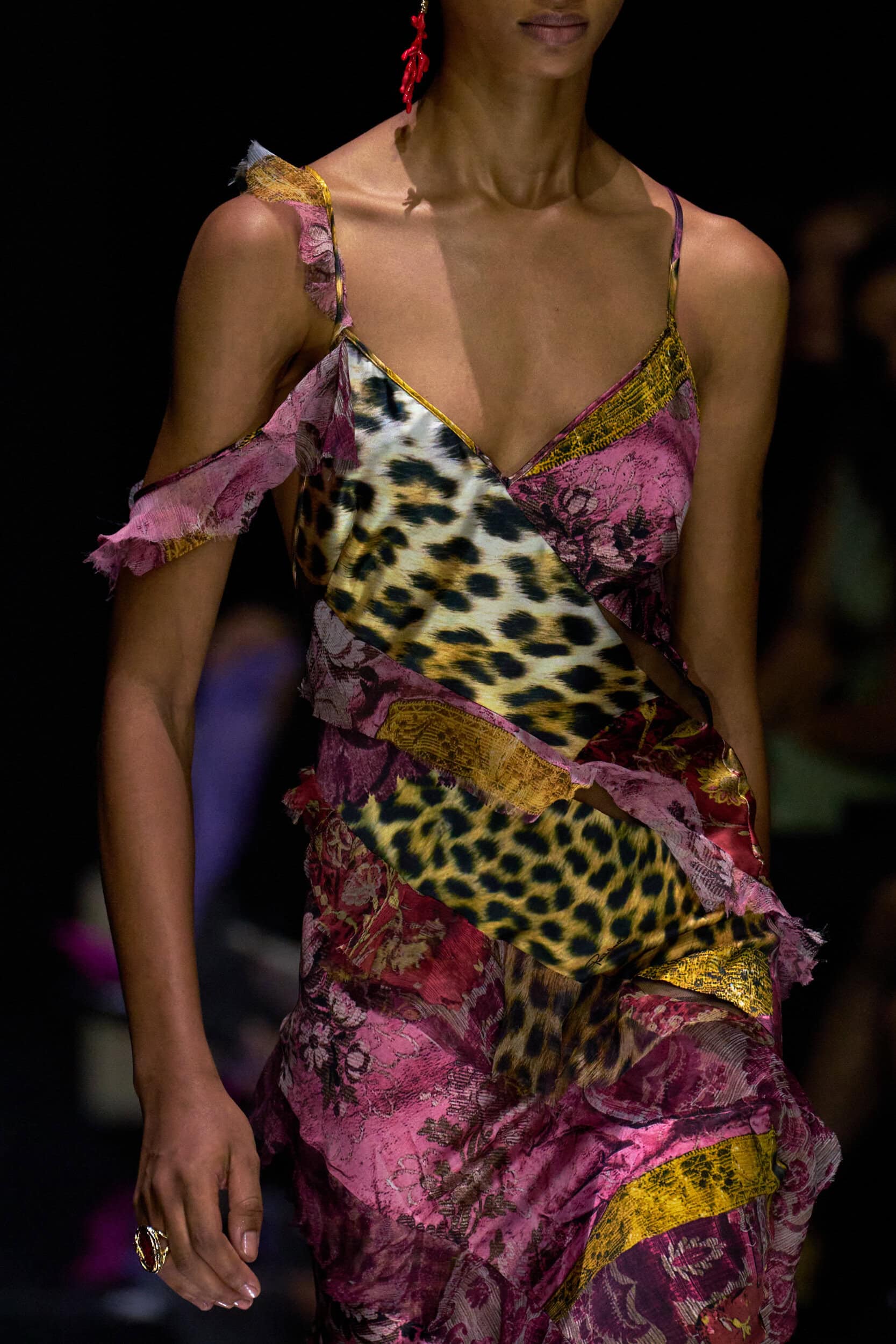 Roberto Cavalli Spring 2027 Fashion Show Details