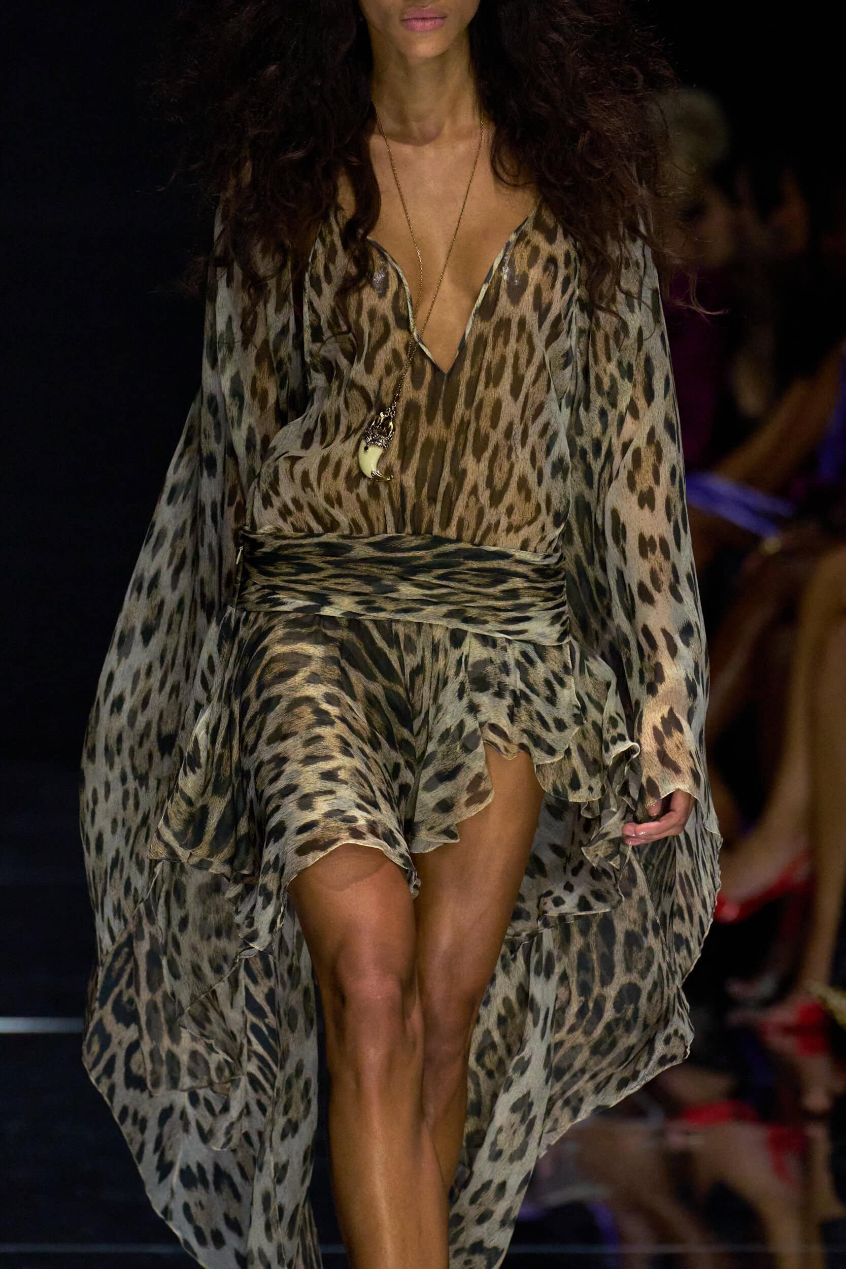 Roberto Cavalli Spring 2027 Fashion Show Details
