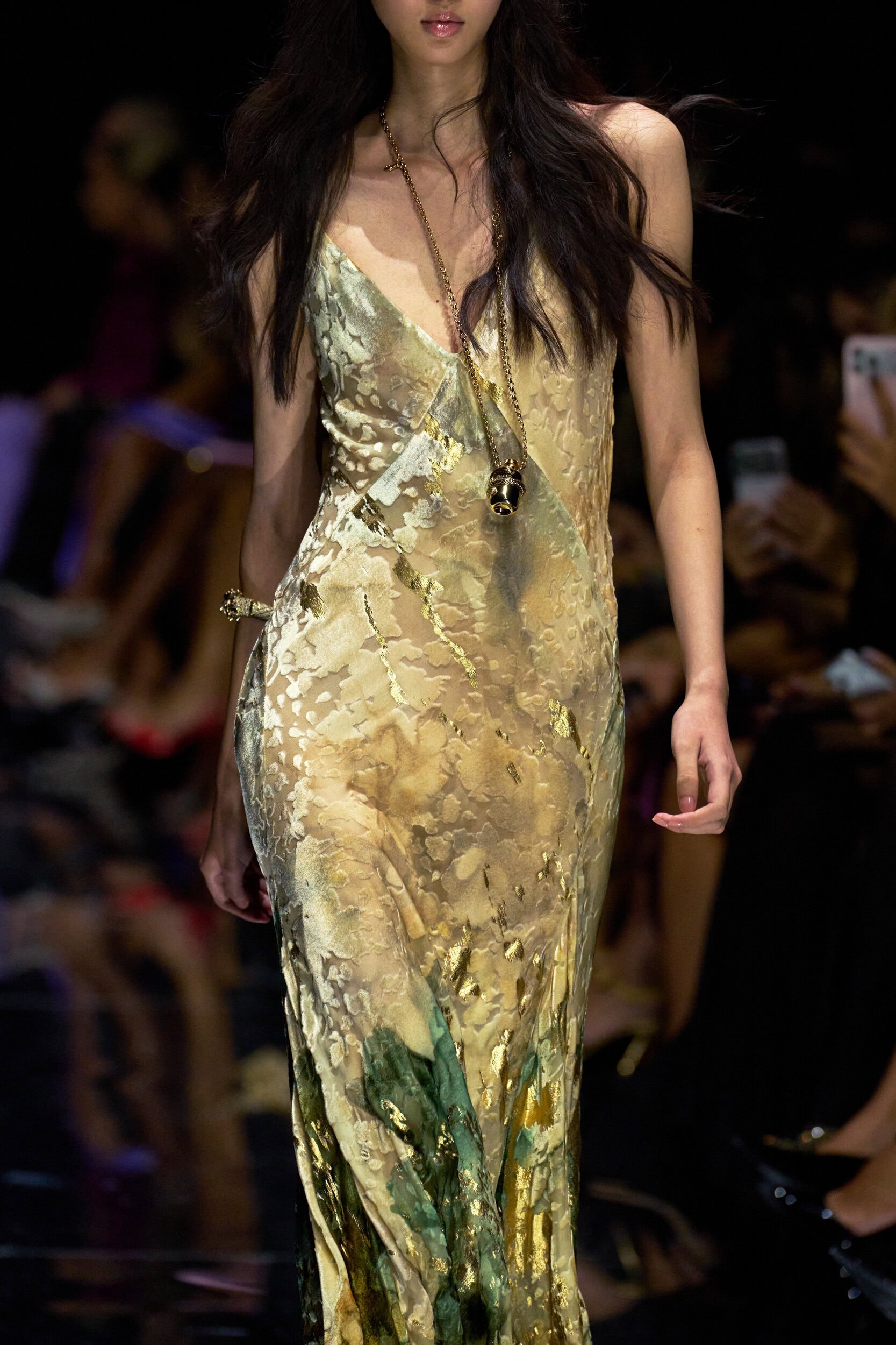 Roberto Cavalli Spring 2027 Fashion Show Details