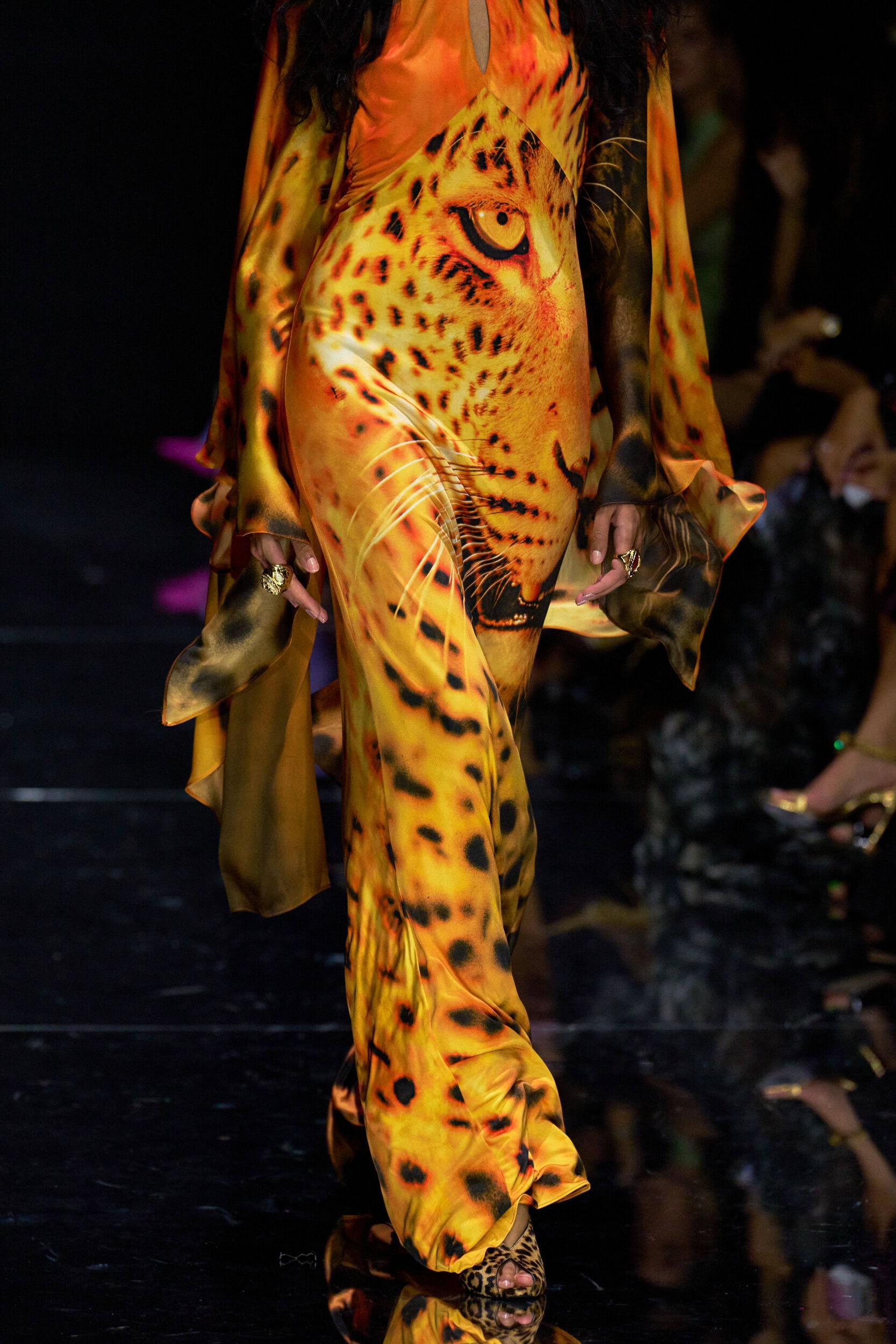 Roberto Cavalli Spring 2027 Fashion Show Details