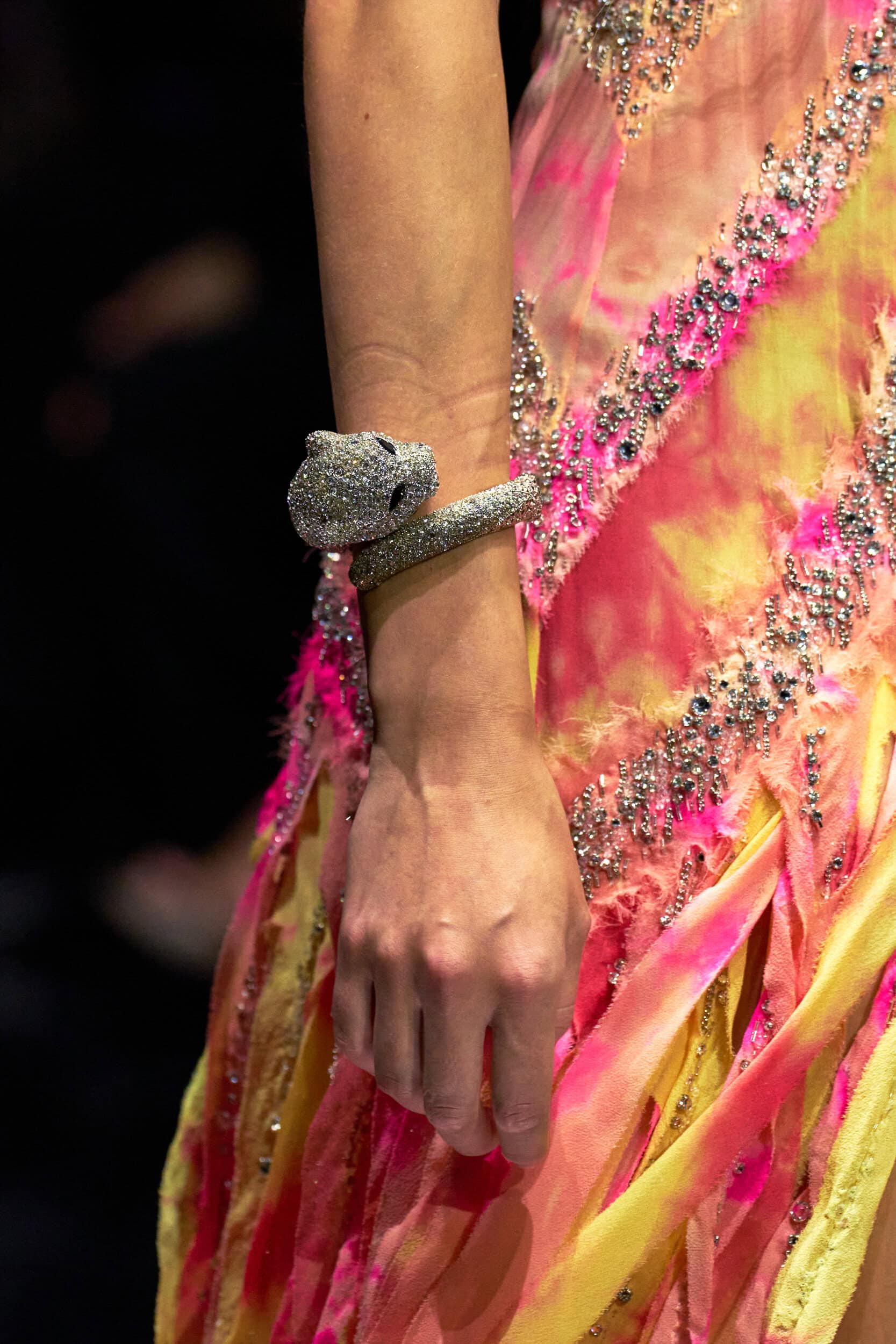 Roberto Cavalli Spring 2027 Fashion Show Details