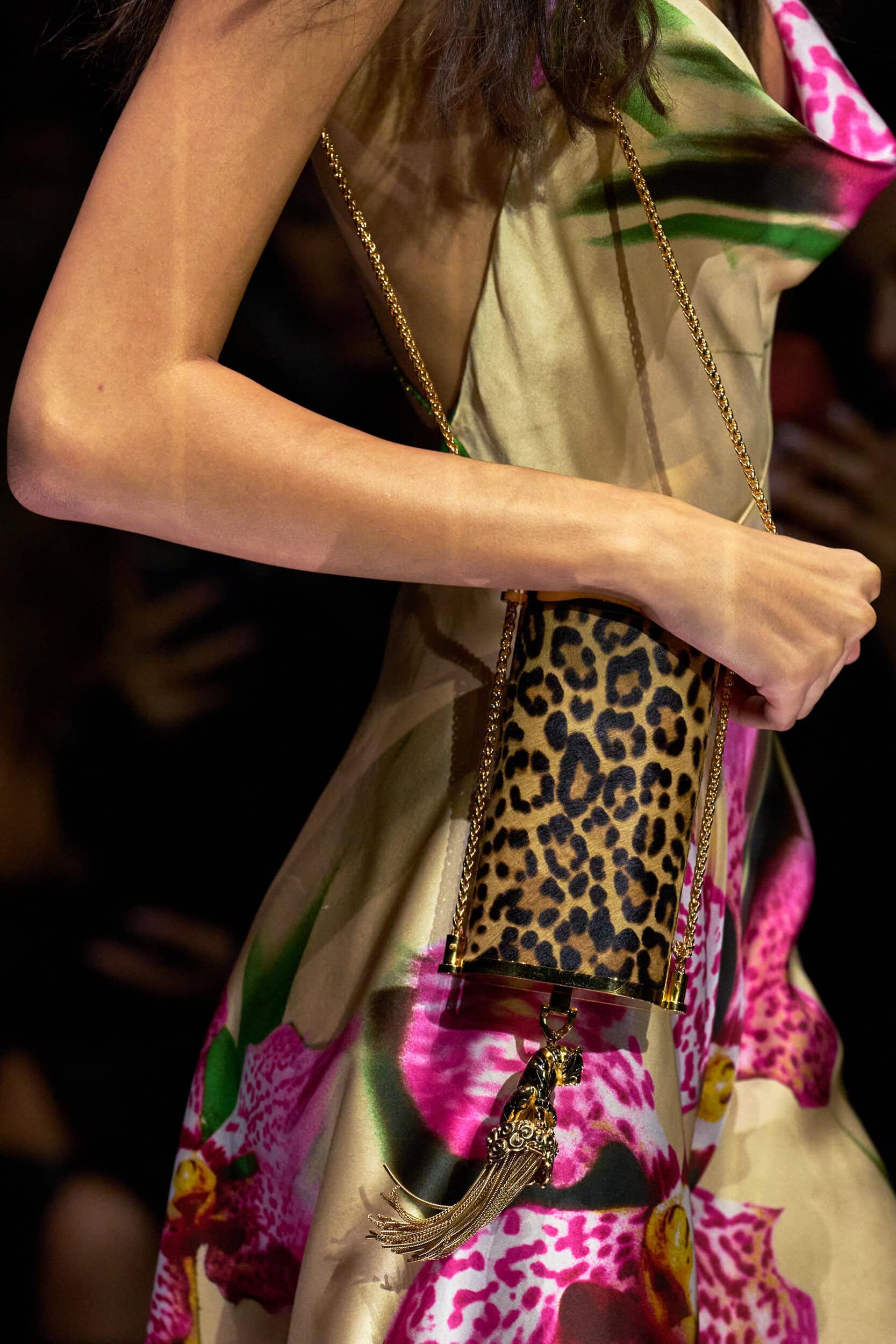 Roberto Cavalli Spring 2027 Fashion Show Details