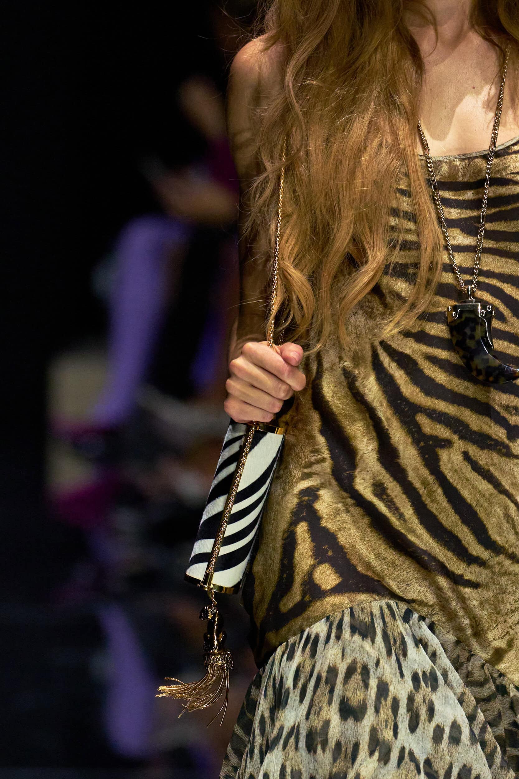 Roberto Cavalli Spring 2027 Fashion Show Details