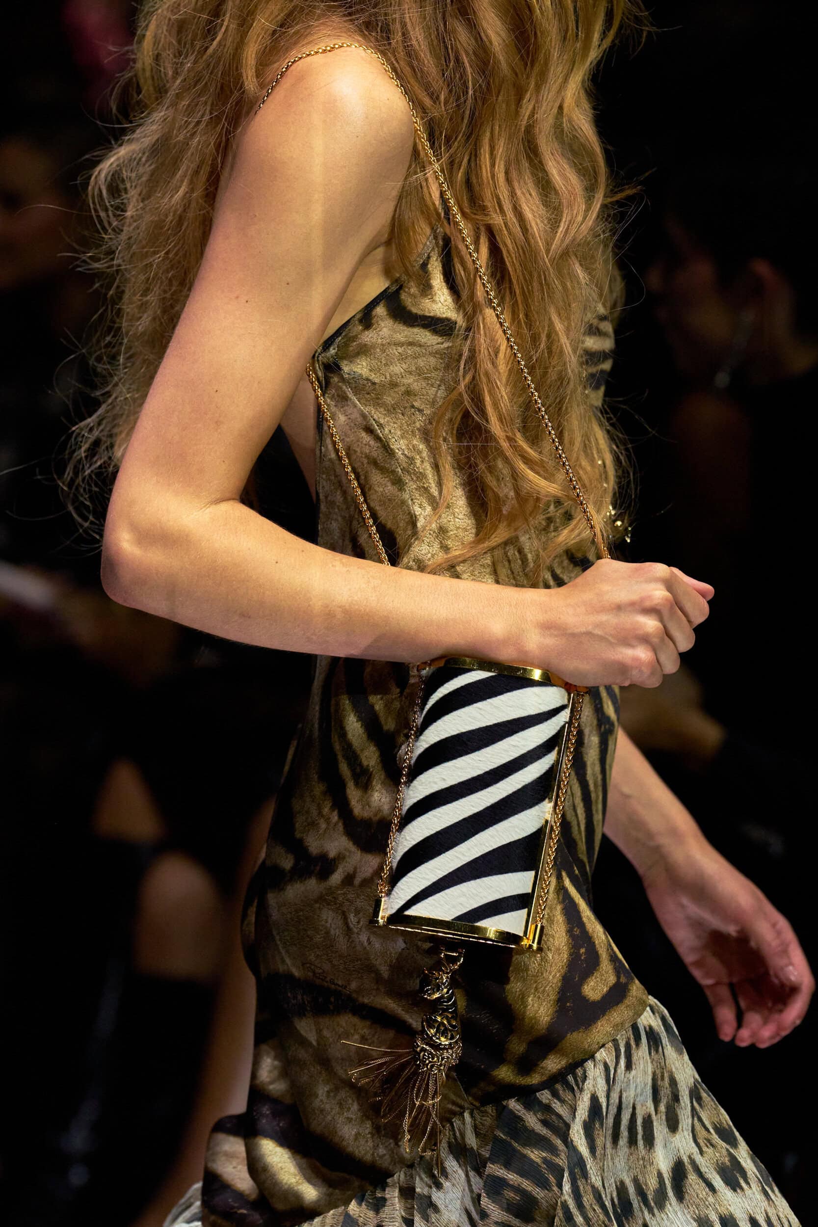 Roberto Cavalli Spring 2027 Fashion Show Details