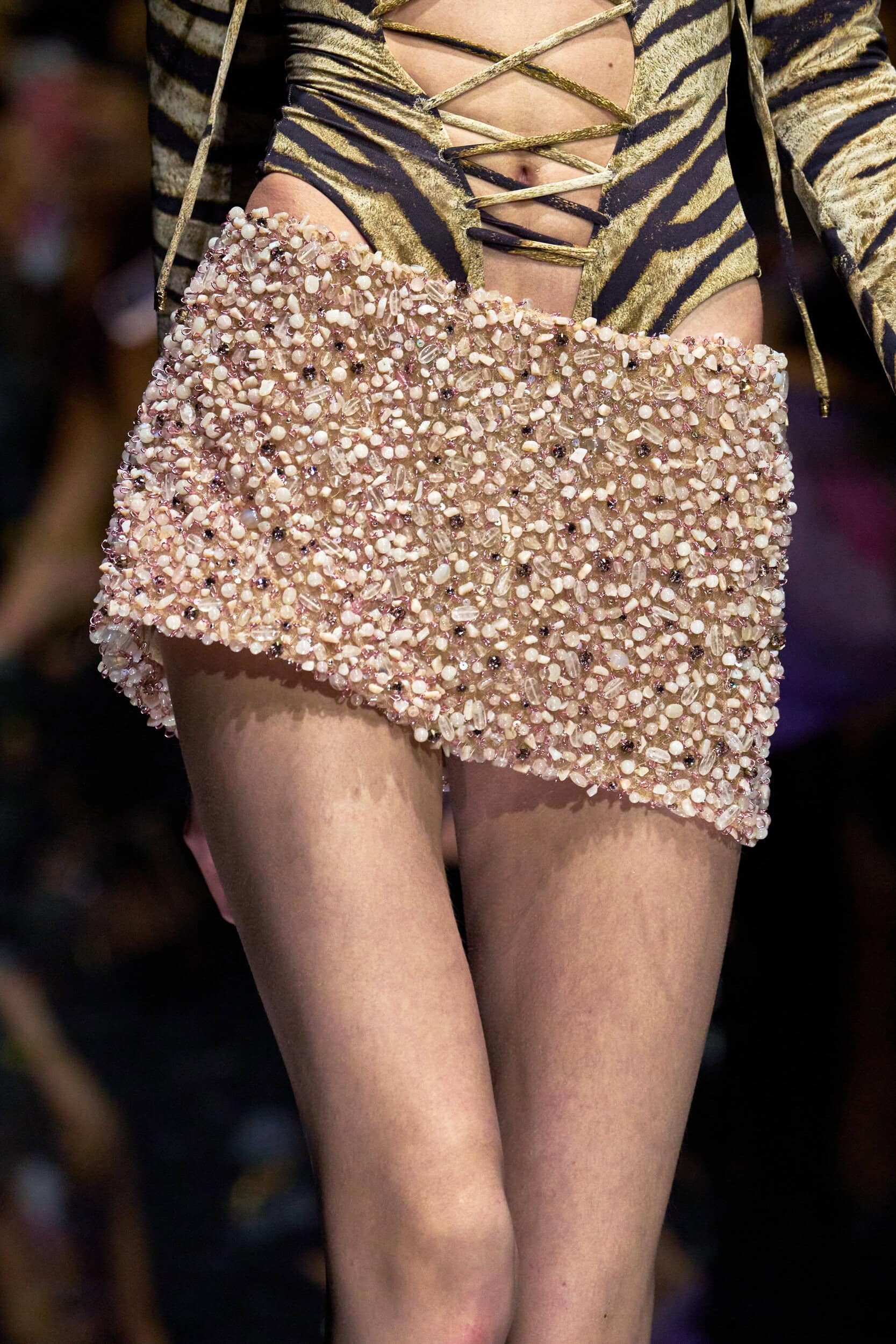 Roberto Cavalli Spring 2027 Fashion Show Details