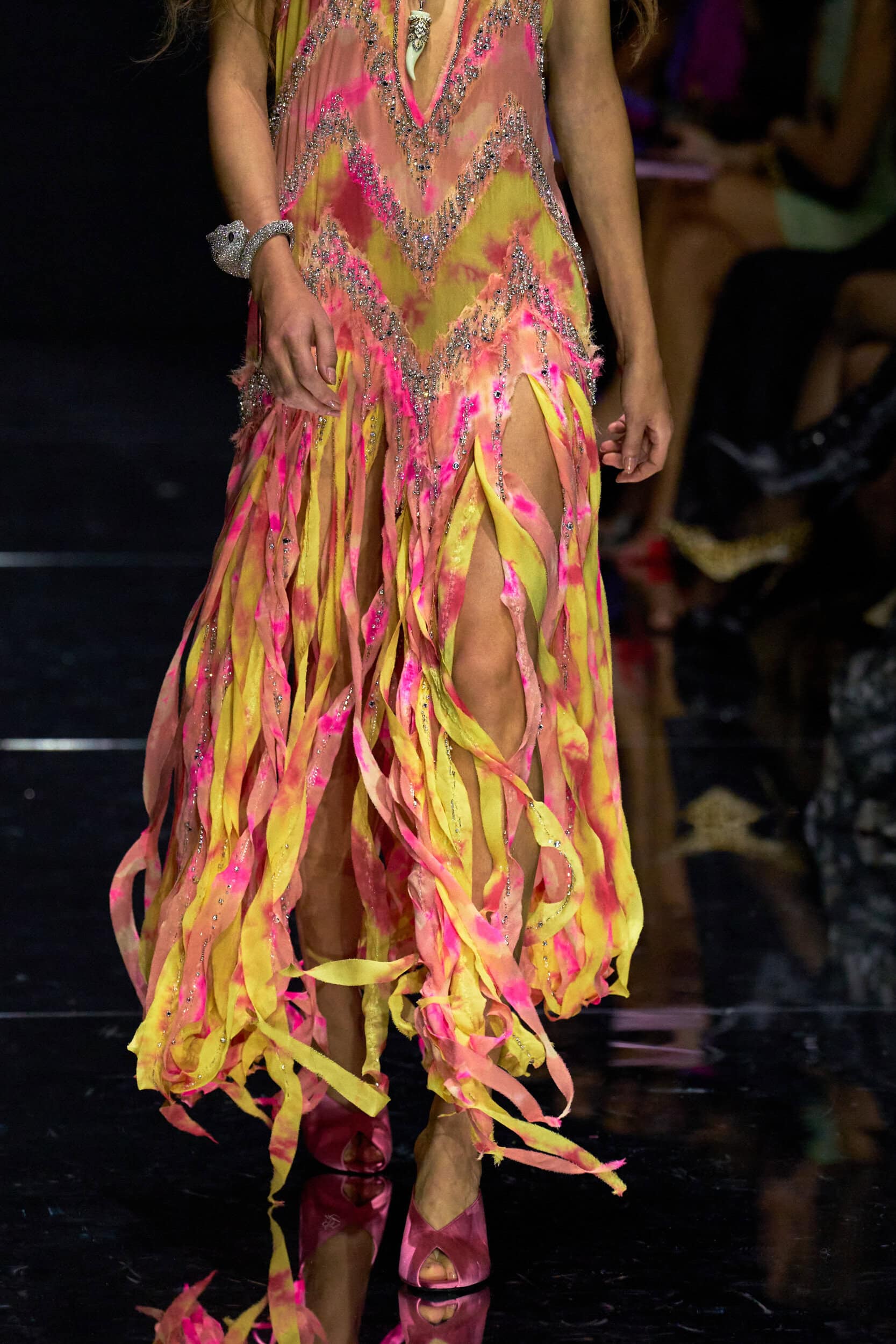 Roberto Cavalli Spring 2027 Fashion Show Details