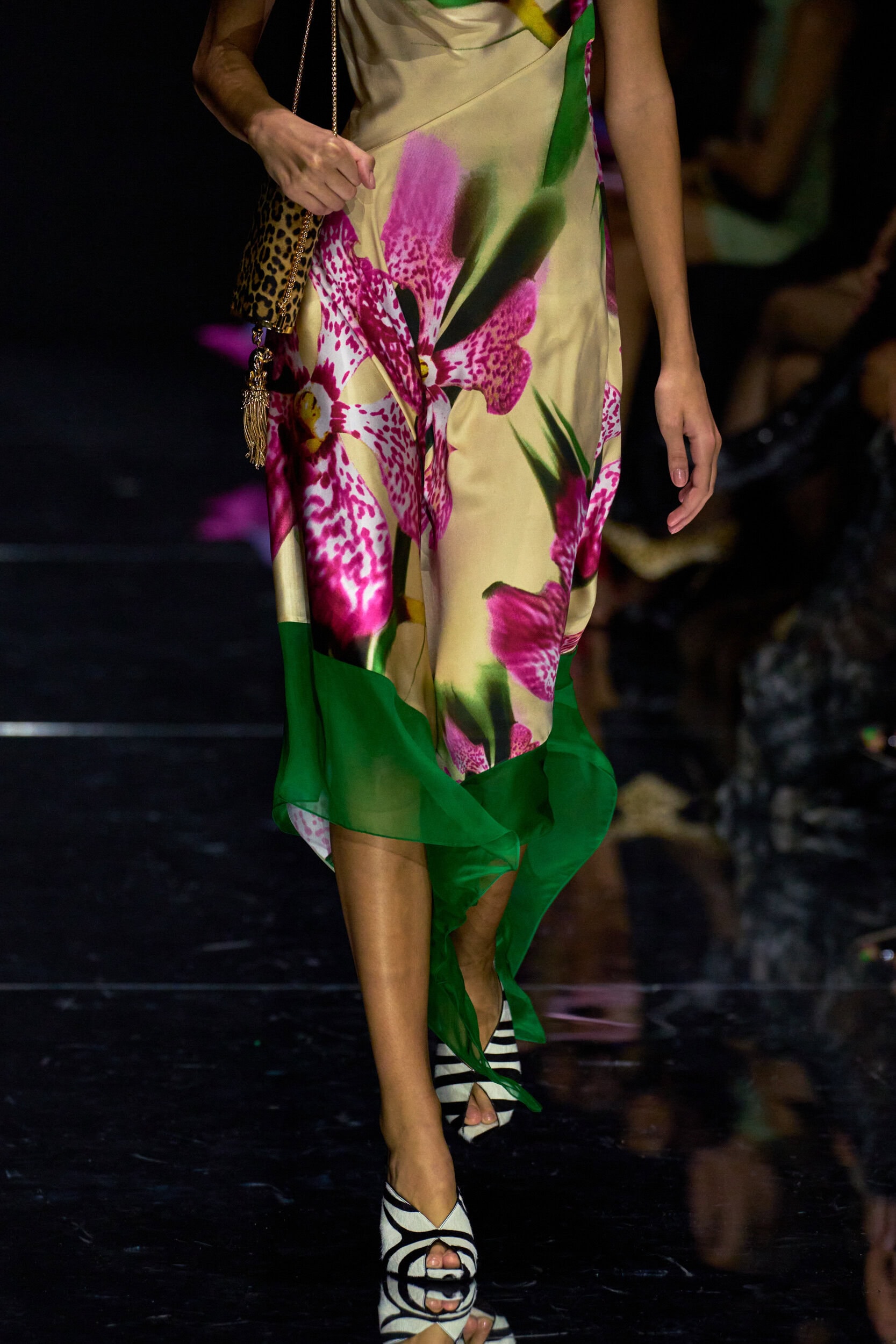 Roberto Cavalli Spring 2027 Fashion Show Details